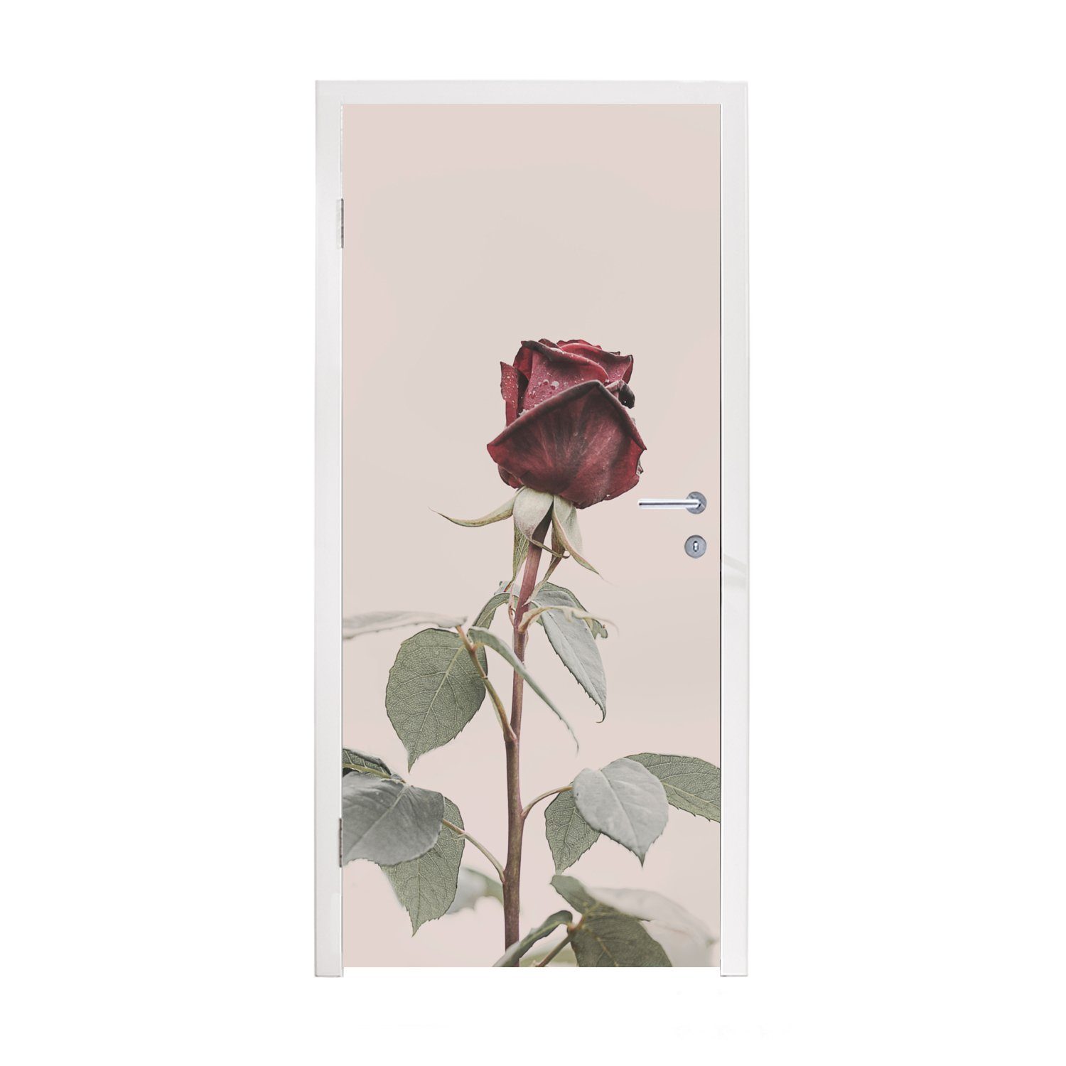 Grün, MuchoWow Tür, Matt, (1 cm Blumen St), - für Fototapete - Türaufkleber, - Rosen bedruckt, Türtapete Rot 75x205