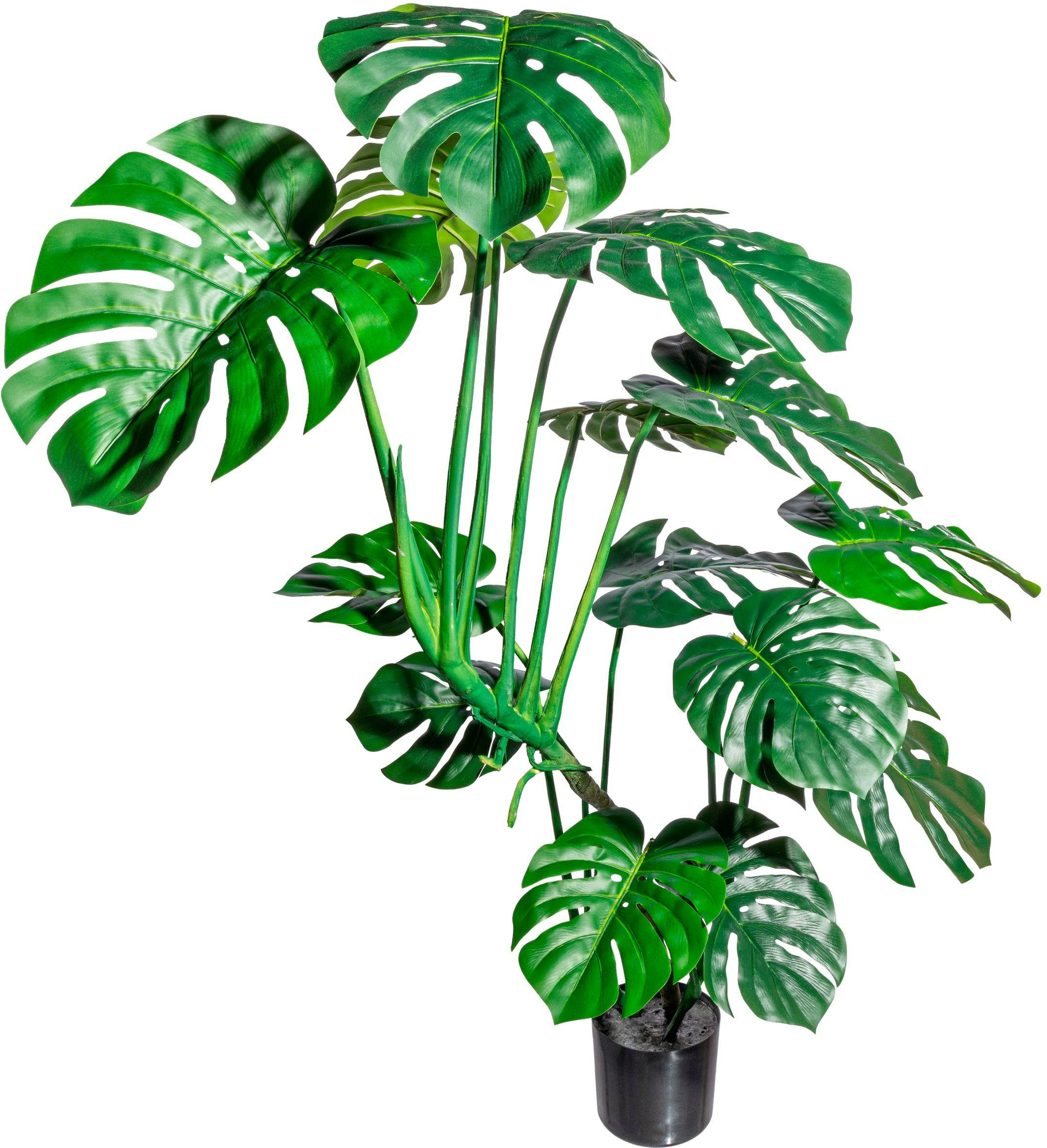 Kunstbaum Splitphilodendron Grünpflanze, Creativ green, Höhe 120 cm. Reduzierter Preis € 101,97. Unverbindliche Preisempfehlung € 179,00