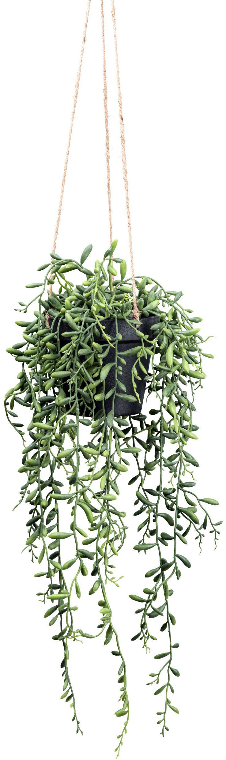 Kunstpflanze Hängepflanze Senecio Herreianus Sukkulente, Creativ green, Höh günstig online kaufen