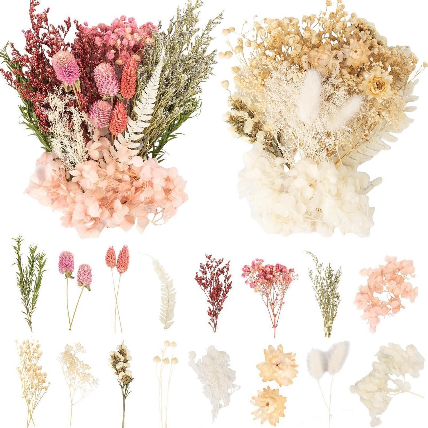 Trockenblume Trockenblumen-Set DIY Deko Weiss Rot 2Stk, LuxusKollektion