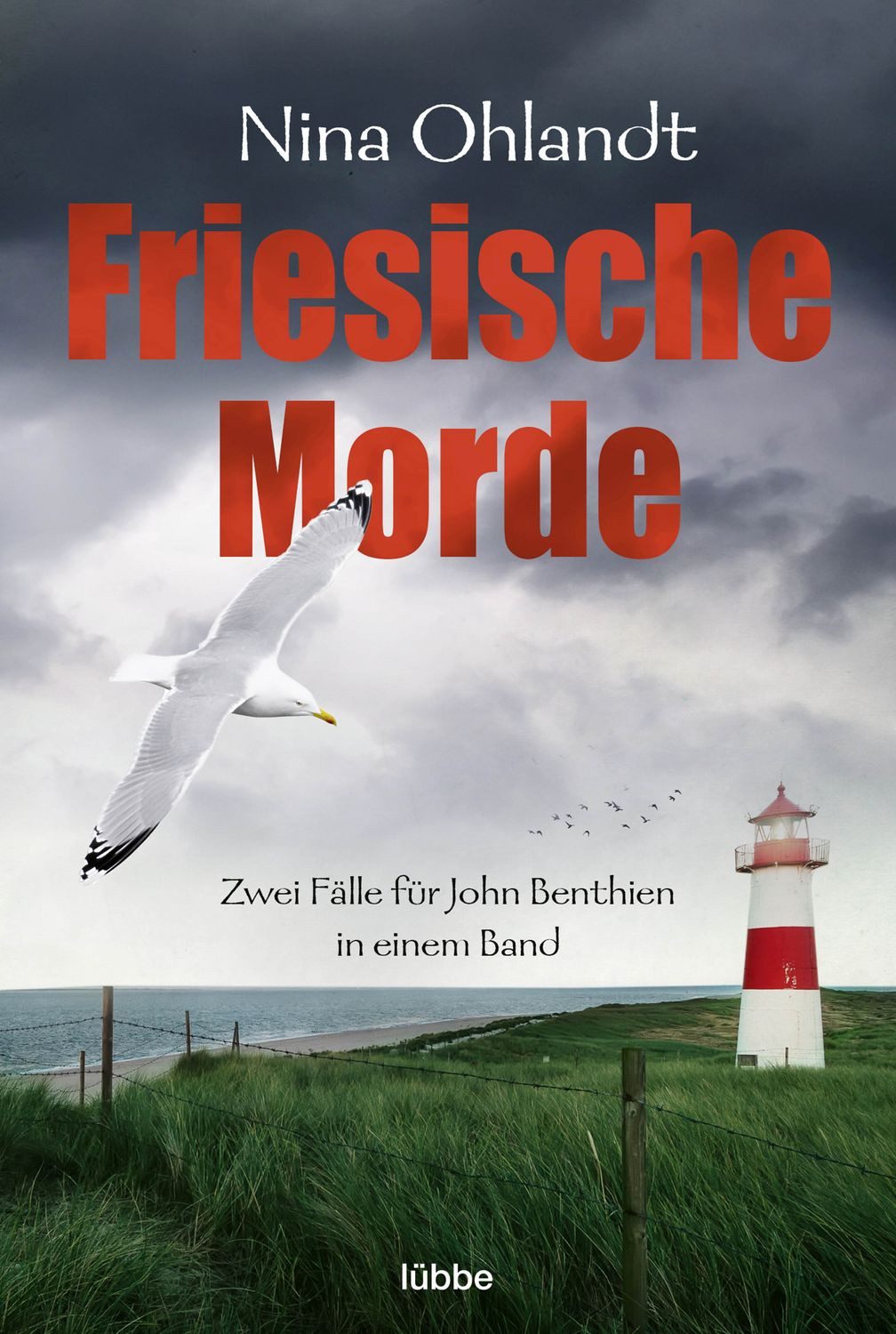 Friesische Morde / Nina Ohlandt
