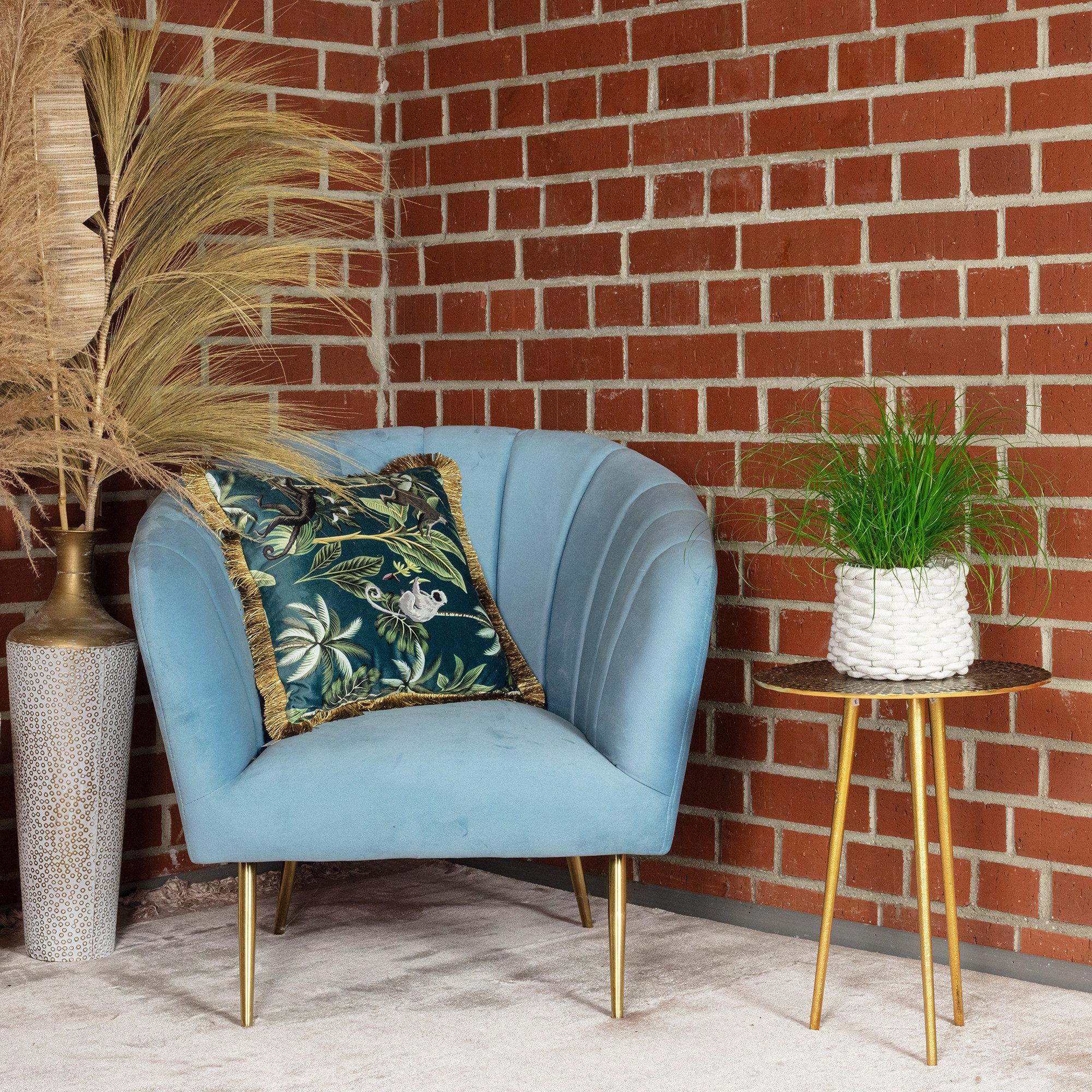 Flowerbox Zimmerpflanze Echtes Katzengras - Cyperus alternifolius Zumula, pflegeleicht - Höhe ca. 30 cm, Topf-Ø 12 cm