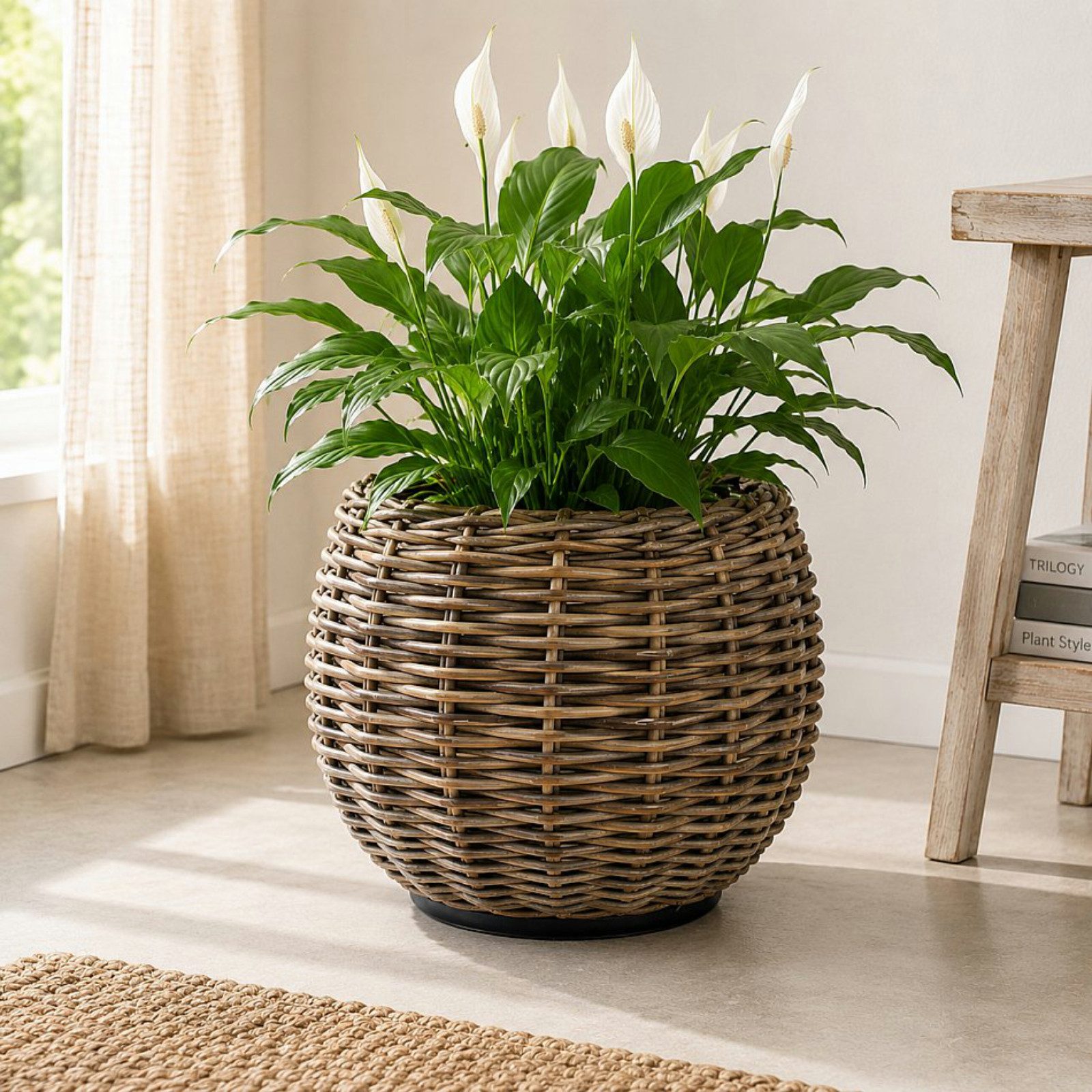 Van der Leeden Blumentopf 53x44cm Rattan Weide Sylter Korb Drypot (Stück, 1 St., Packung), Indoor & Outdoor, Naturprodukt, Rattan, inkl. Kunststoffeimer