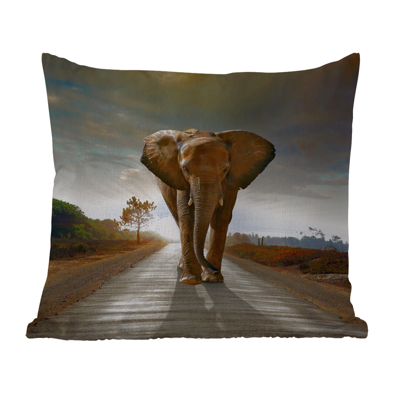 - Dekokissen, - Dekokissen Landschaft, MuchoWow Straße Outdoor Kissenhülle, Sonnenuntergang Elefant Dekokissenbezug, Kissenbezüge, - Tiere -