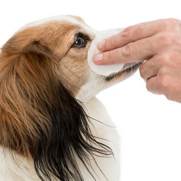TRIXIE Fellbürste Eye Care Augenpflege für Hunde
