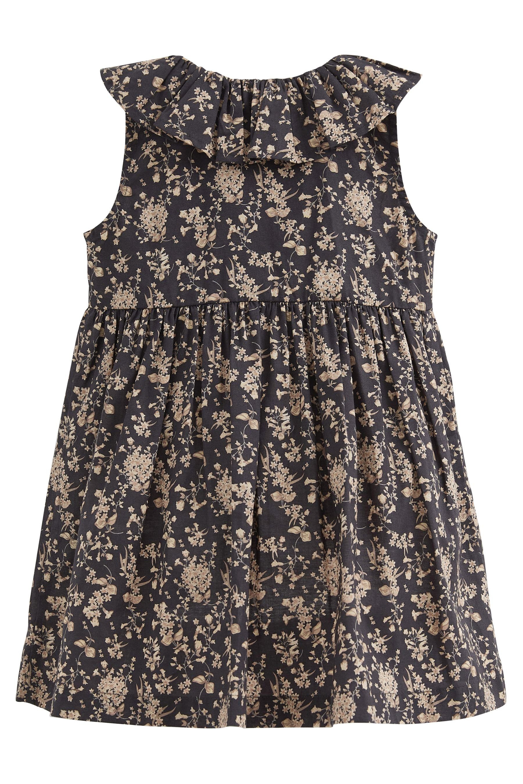 Next Sommerkleid Ditsy (1-tlg) Rüschenkragen Kleid Black mit