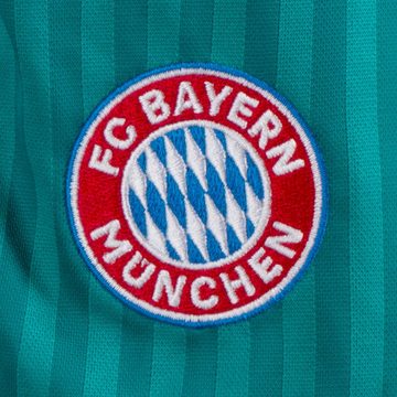 adidas Performance Trainingsshorts FC Bayern München Icon Trainingsshorts Herren