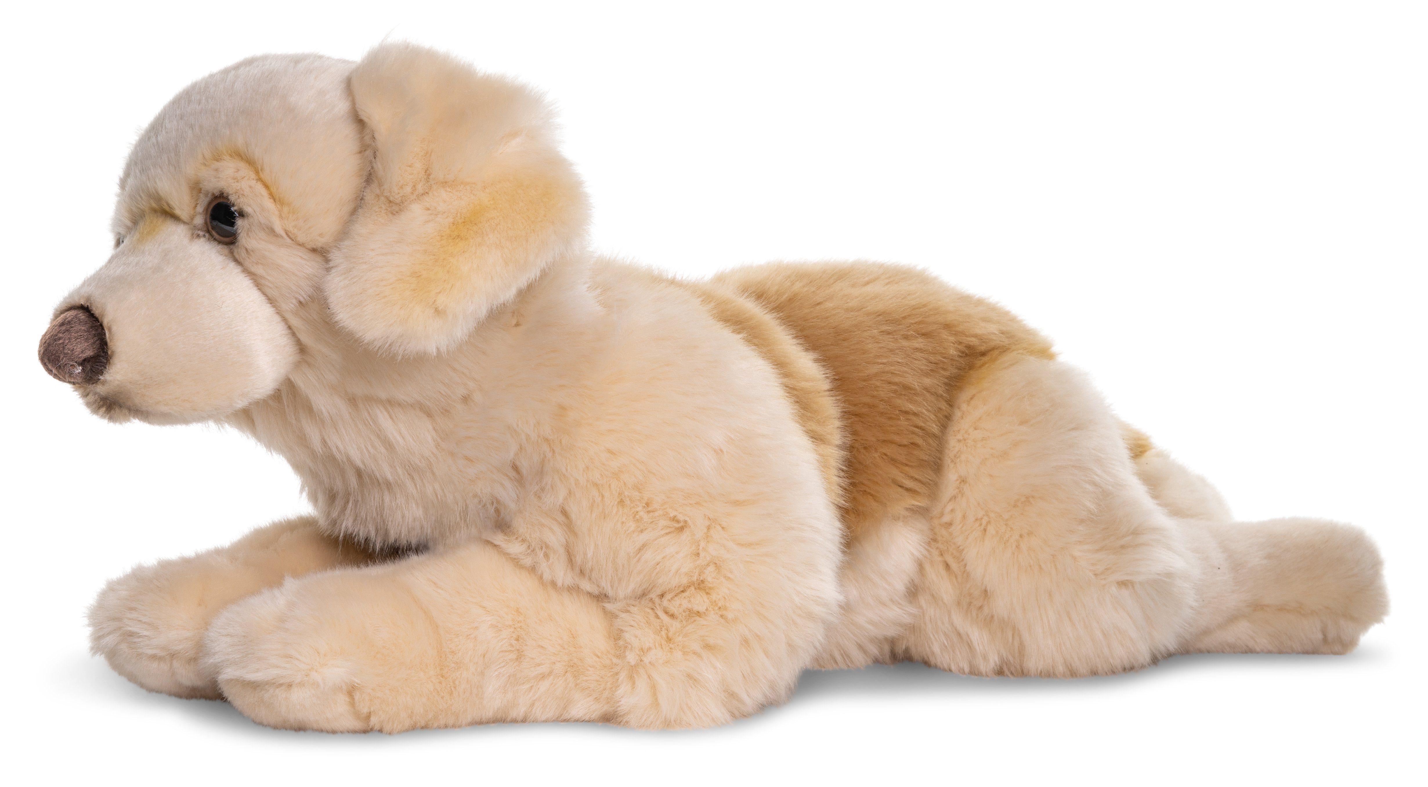 Uni-Toys Kuscheltier Golden Retriever - cm % 100 Füllmaterial - Geschirr 60 zu Plüschtier, recyceltes Plüsch-Hund, Mit/ohne 