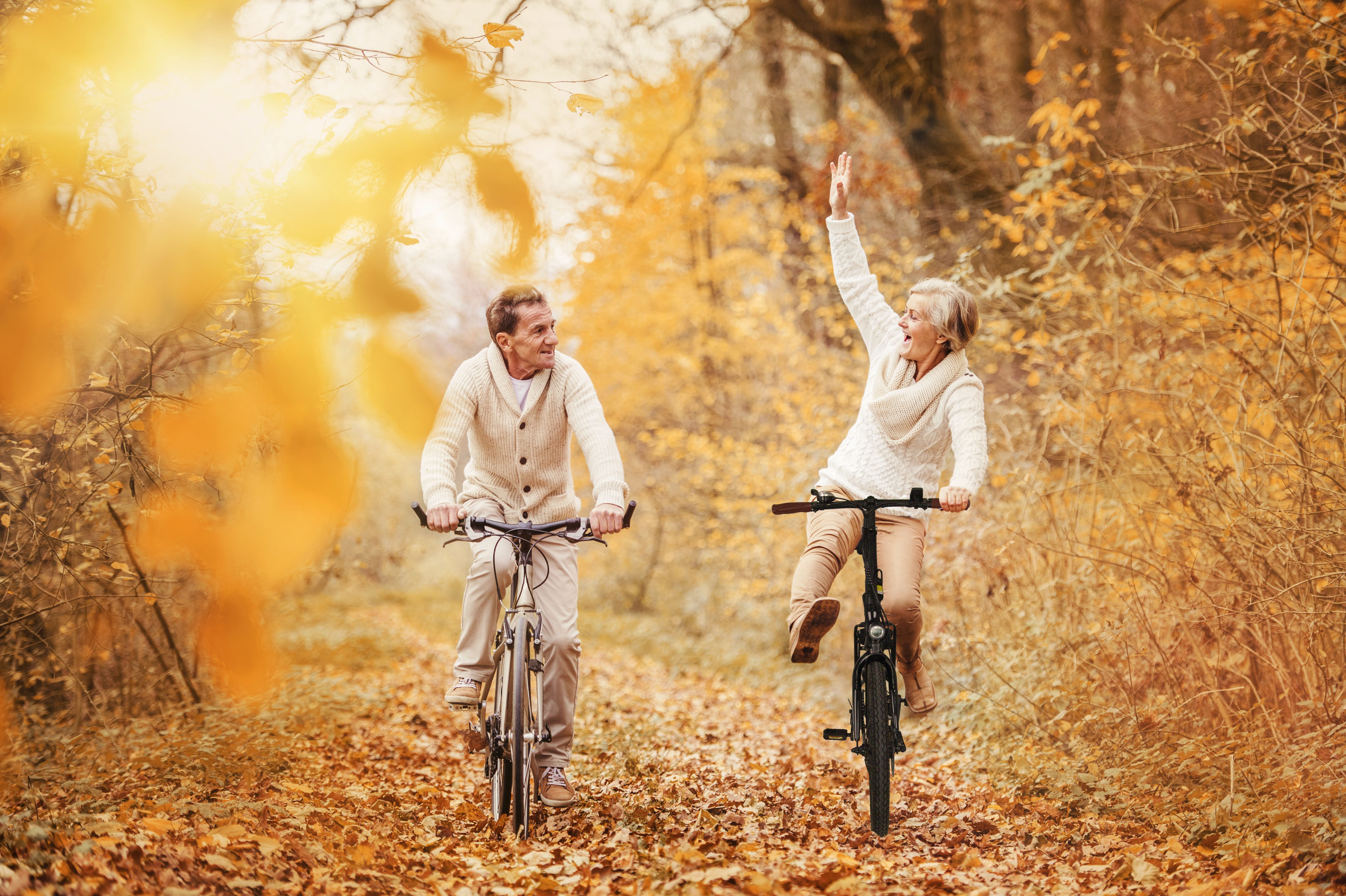 SachsenRad E-Bike Faltrad F2, 7 Gang Shimano Shimano SIS 7-Gang-Schaltung Schaltwerk, Kettenschaltung, 470 Wh, LCD-Steuerdisplay, Fahrmodus Pedelec,  LED-Frontlicht, LED-Rücklicht