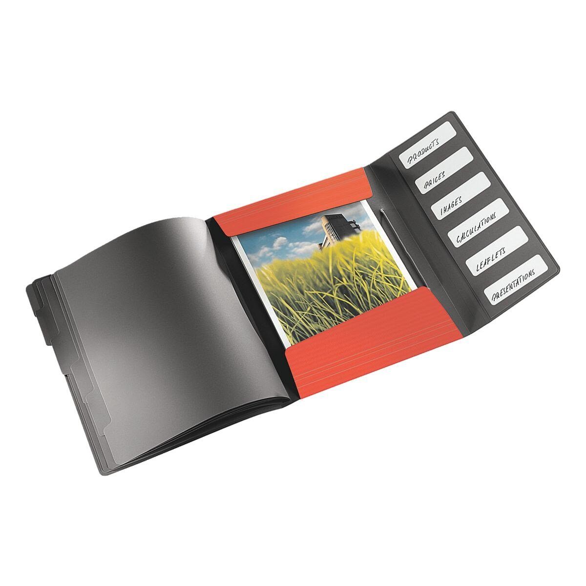 LEITZ Organisationsmappe Solid 4569, Ordnungsmappe mit 6 Fächern, Inhaltverzeichnis, 3 Schutzklappen, A4