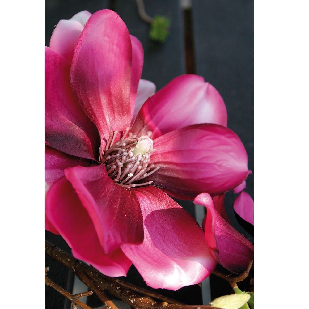 Magnolien, matches21 80 80 Zweig Höhe 1 rot Blättern Blüten Kunstblume & cm Magnolien Stk cm - HOME Kunstblume HOBBY,