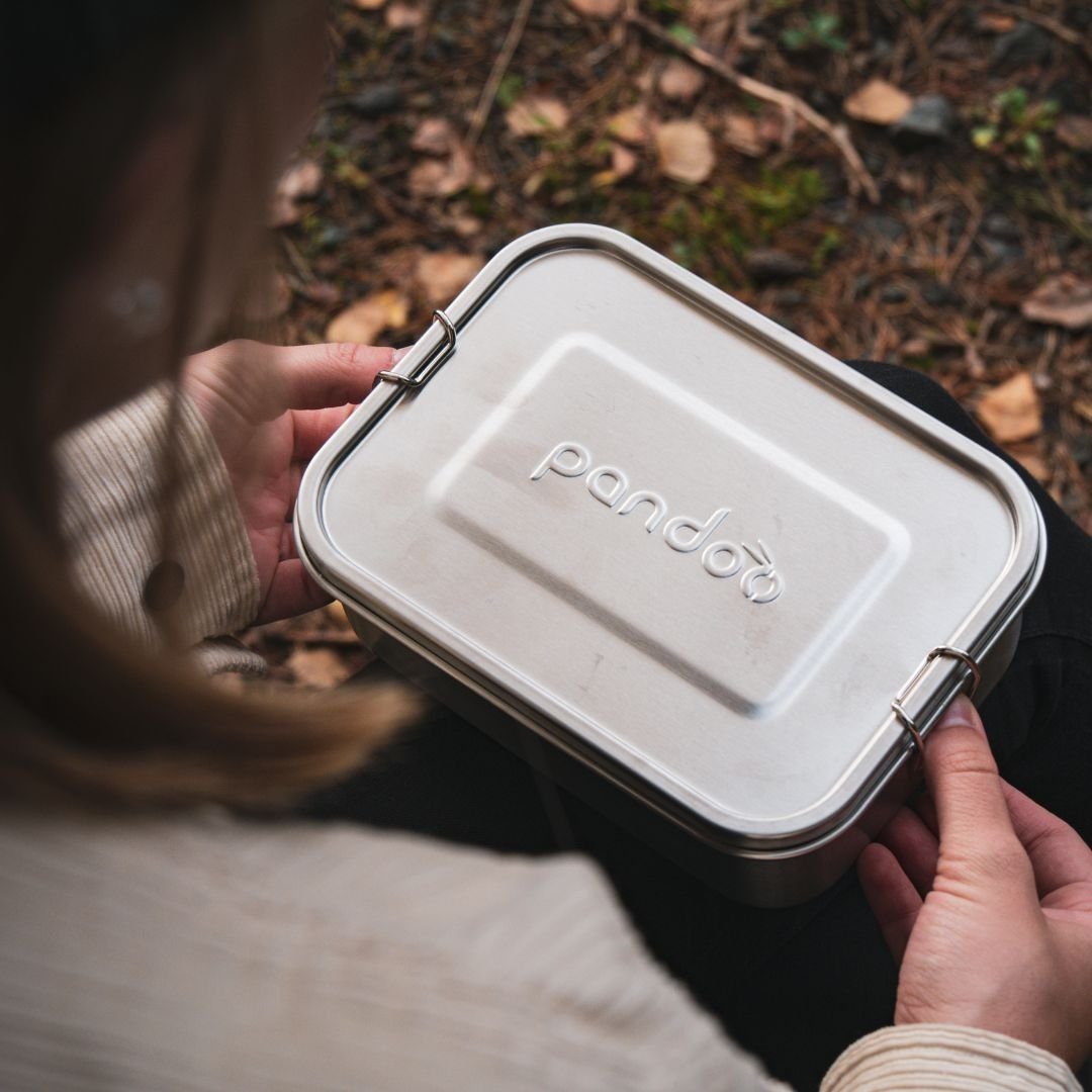 pandoo Lunchbox Lunchbox aus variablem Edelstahl Trennsteg mit