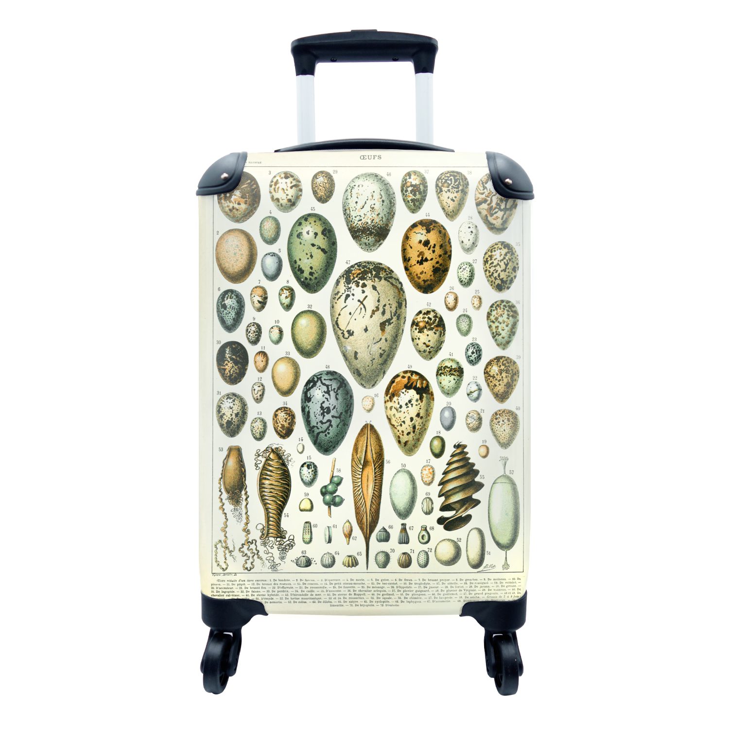 4 Eier Tiere Handgepäck Reisekoffer Design, MuchoWow - Handgepäckkoffer rollen, - Reisetasche mit Rollen, Ferien, Trolley, für