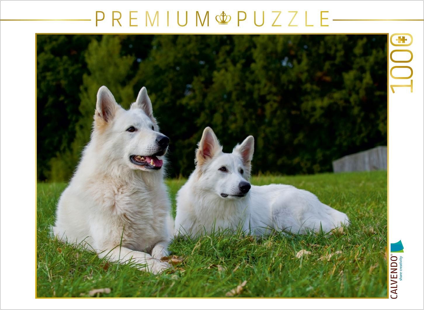 CALVENDO Puzzle CALVENDO Puzzle Ein Motiv aus dem Kalender Weißer Schweizer günstig online kaufen