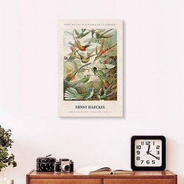 Posterlounge Acrylglasbild Ernst Haeckel, What Nature is, is Visible on its Surface, Schlafzimmer Vintage Malerei