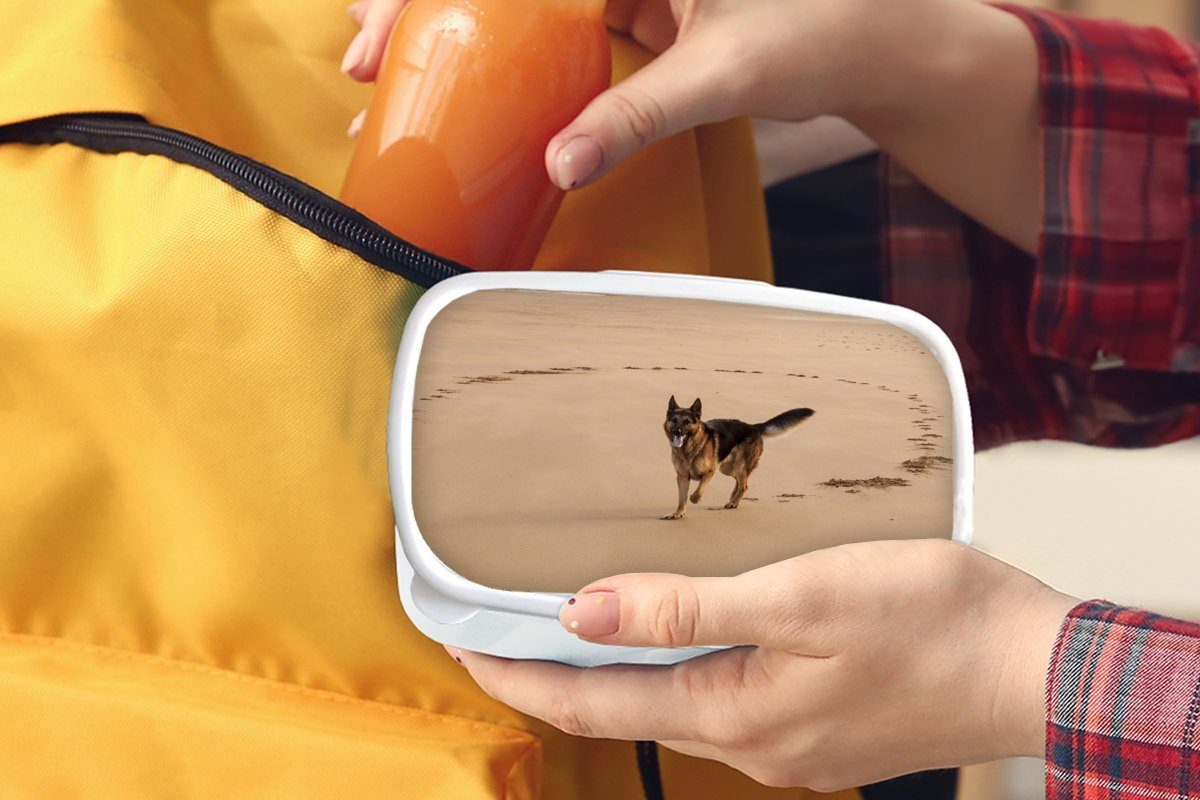 Schäferhund für Kinder Kunststoff, weiß und und Jungs Mädchen Lunchbox MuchoWow spielt am Deutscher Brotbox Erwachsene, (2-tlg), Brotdose, Strand, für