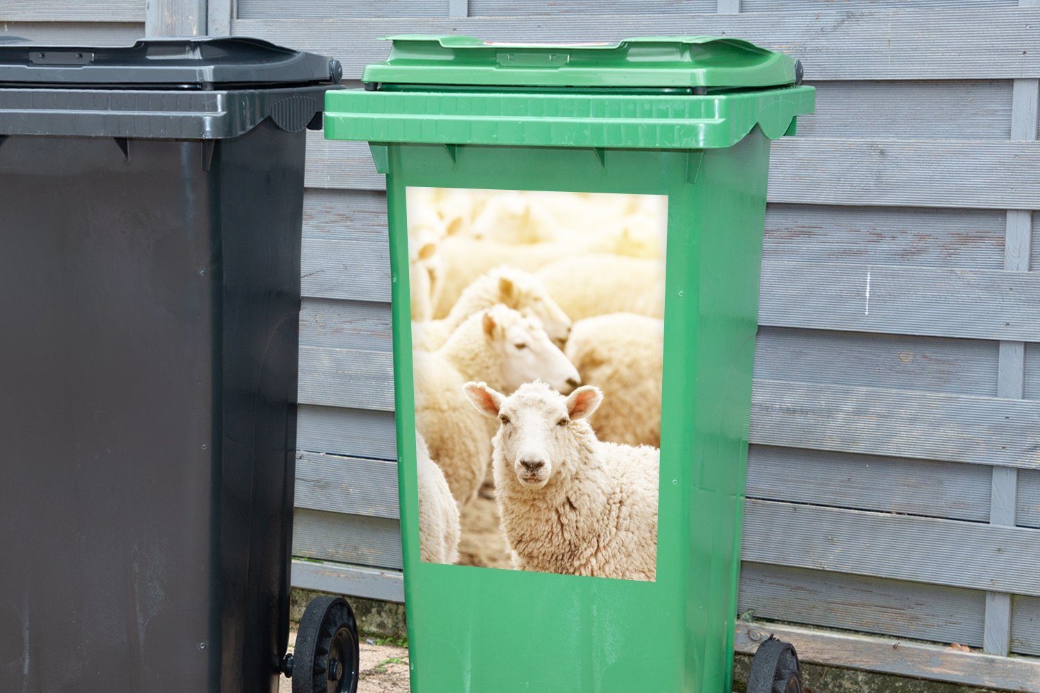 - Wandsticker Sticker, Wolle Schaf Weiß Mülleimer-aufkleber, Abfalbehälter - MuchoWow (1 Mülltonne, Container, St),