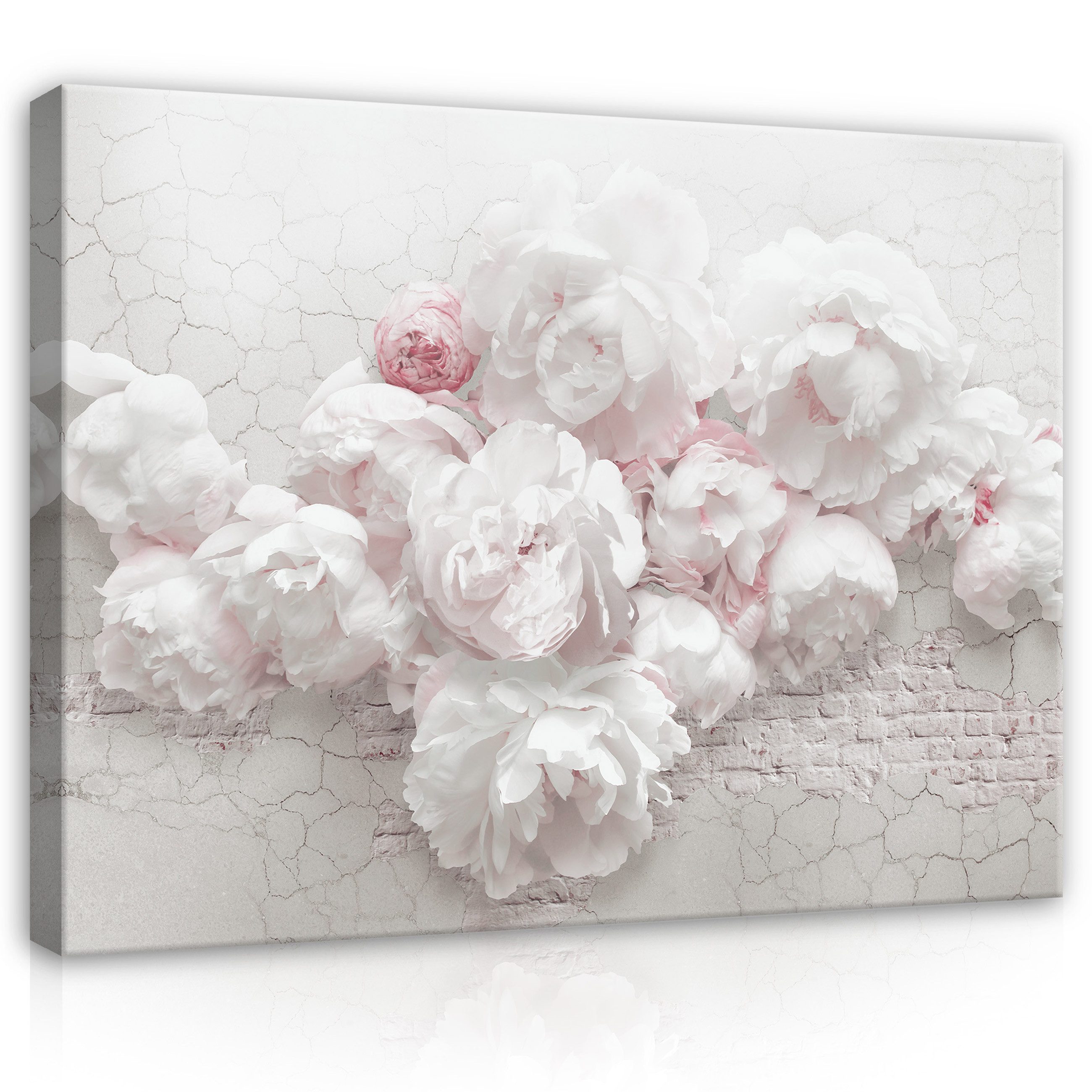 Leinwandbild Blumen Abstrakt Pfingstrosen Modern Wandbilder Wand Deko XXL Bilder