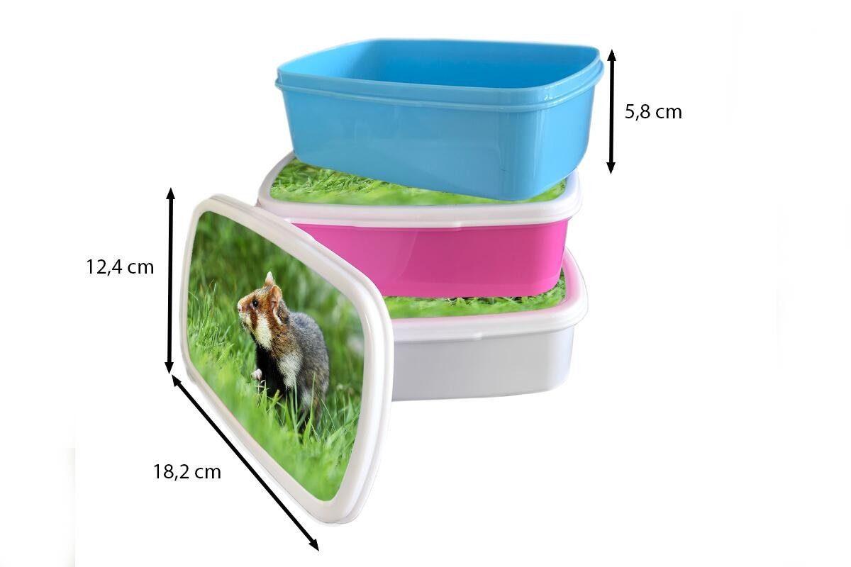 MuchoWow Lunchbox Hamster läuft vorsichtig Kunststoff, Mädchen Kinder Grasfeld, und Jungs für weiß (2-tlg), Brotbox ein durch und Erwachsene, für Brotdose