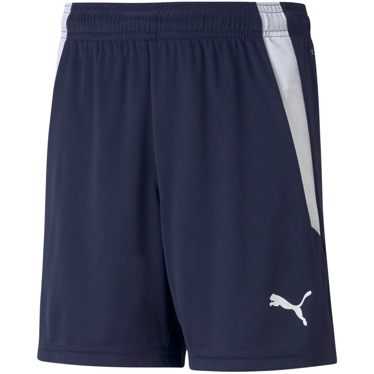 PUMA Trainingsshorts Puma teamLIGA