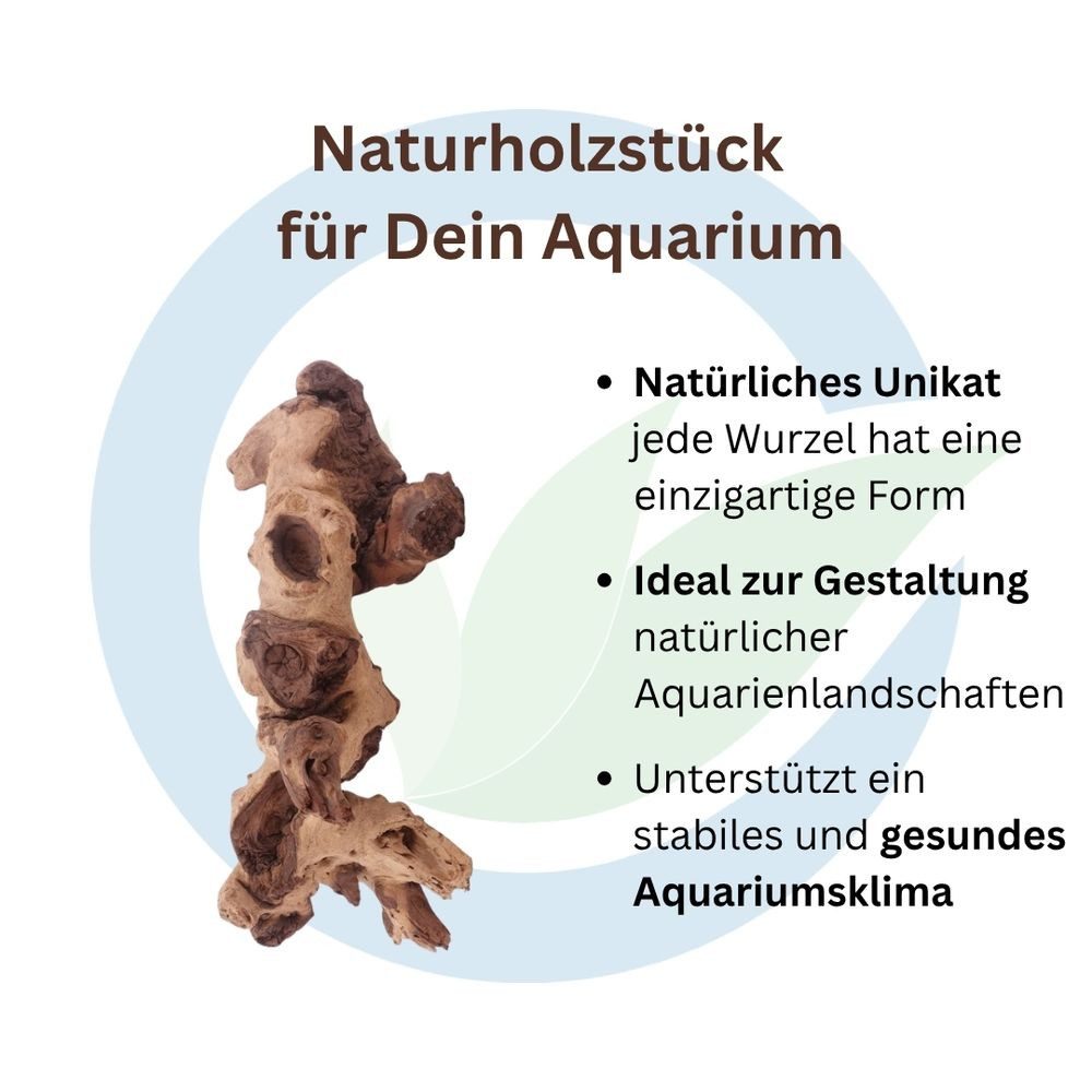 Aquaone Aquarium Mopani Wurzel XL 35-50 cm