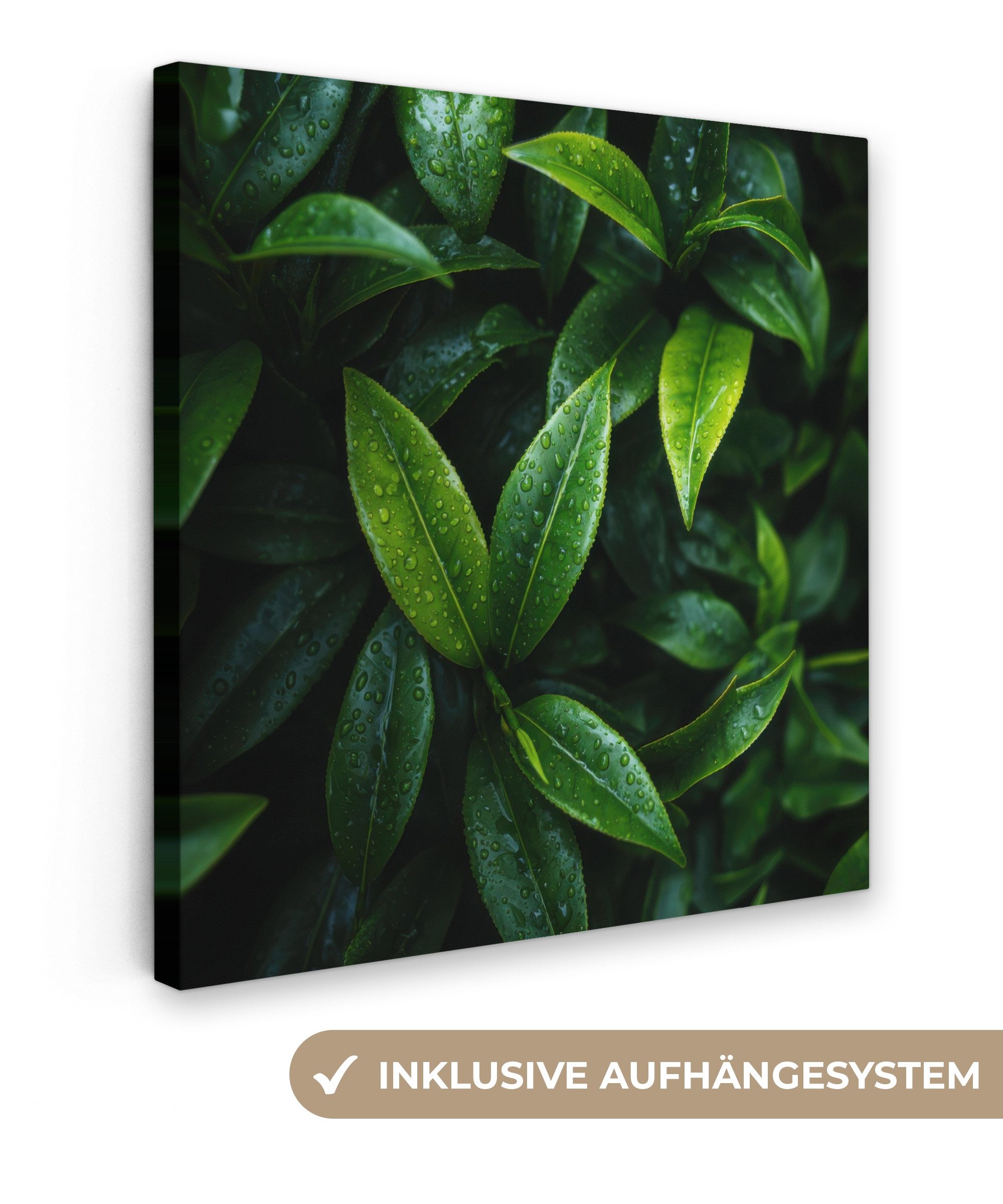 OneMillionCanvasses® Leinwandbild Blätter - Regentropfen - Licht - Grün, Fo günstig online kaufen