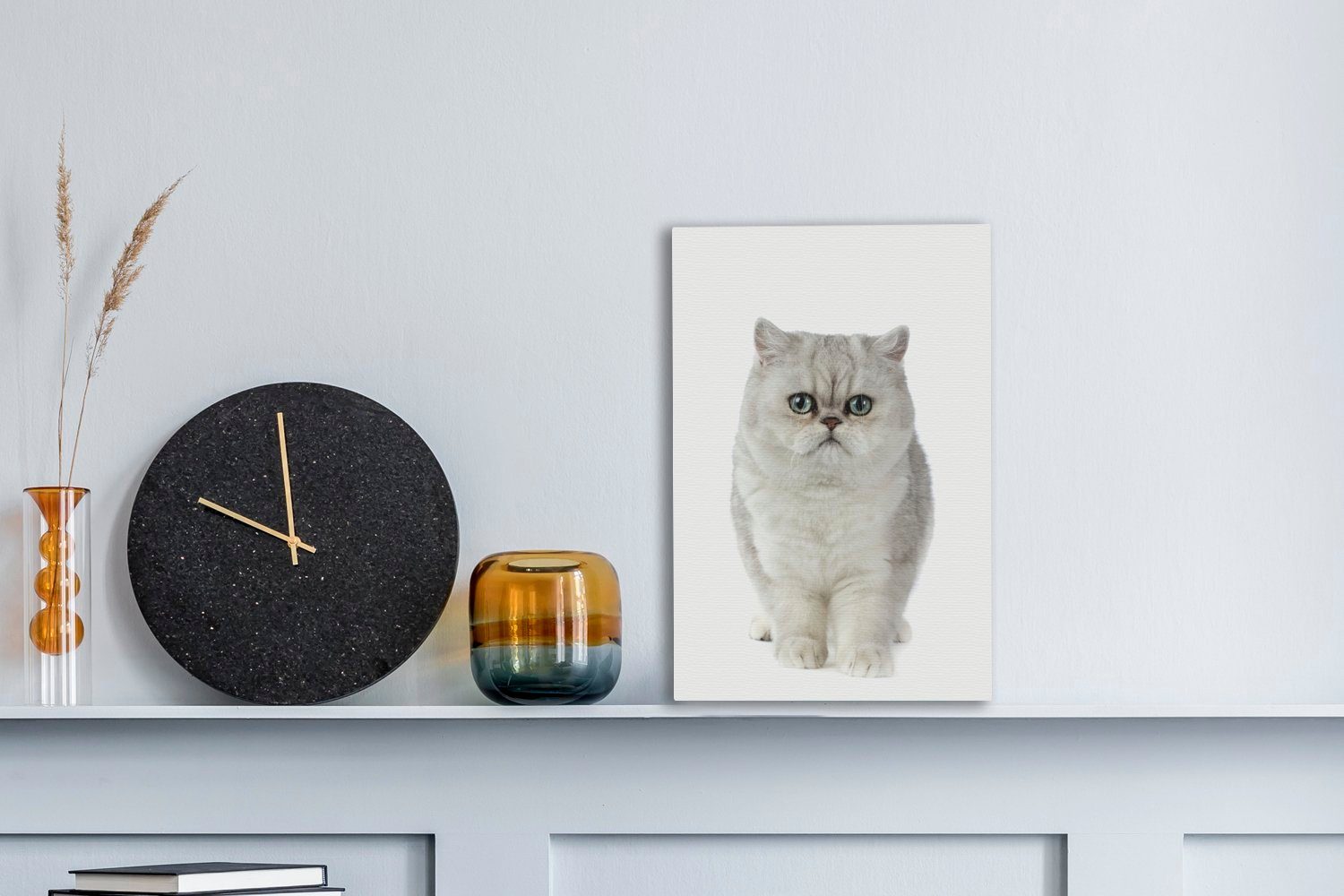 Hintergrund, Leinwandbild Leinwandbild inkl. Katze fertig Zackenaufhänger, cm St), auf exotische bespannt OneMillionCanvasses® (1 Gemälde, Weiße 20x30 weißem