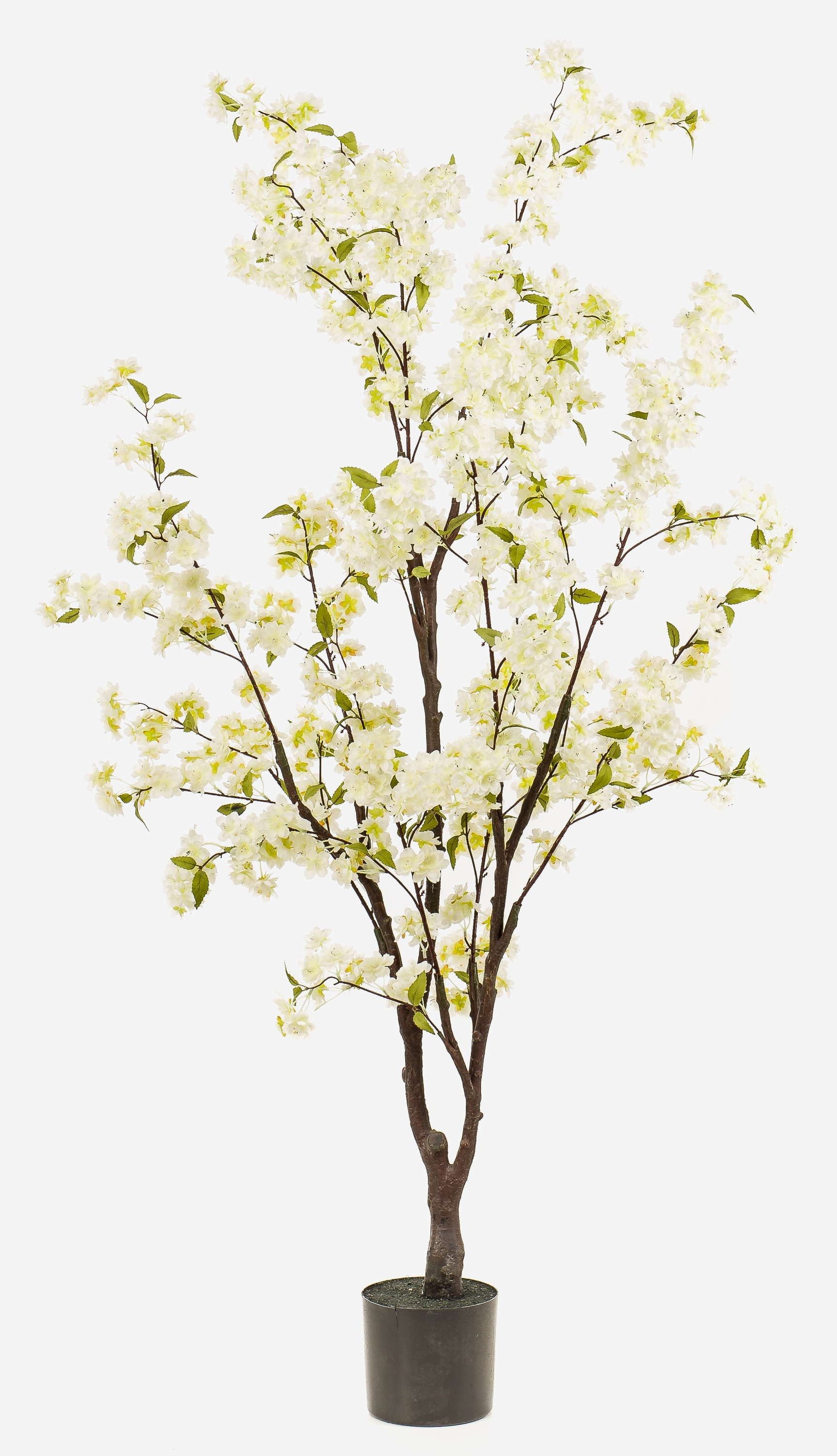 Kunstbaum Deko Kirschblütenbaum JANKFUN mit Blüten, Kunststamm, weiß, 175cm Zierkirsche, artplants, Höhe 175.0 cm