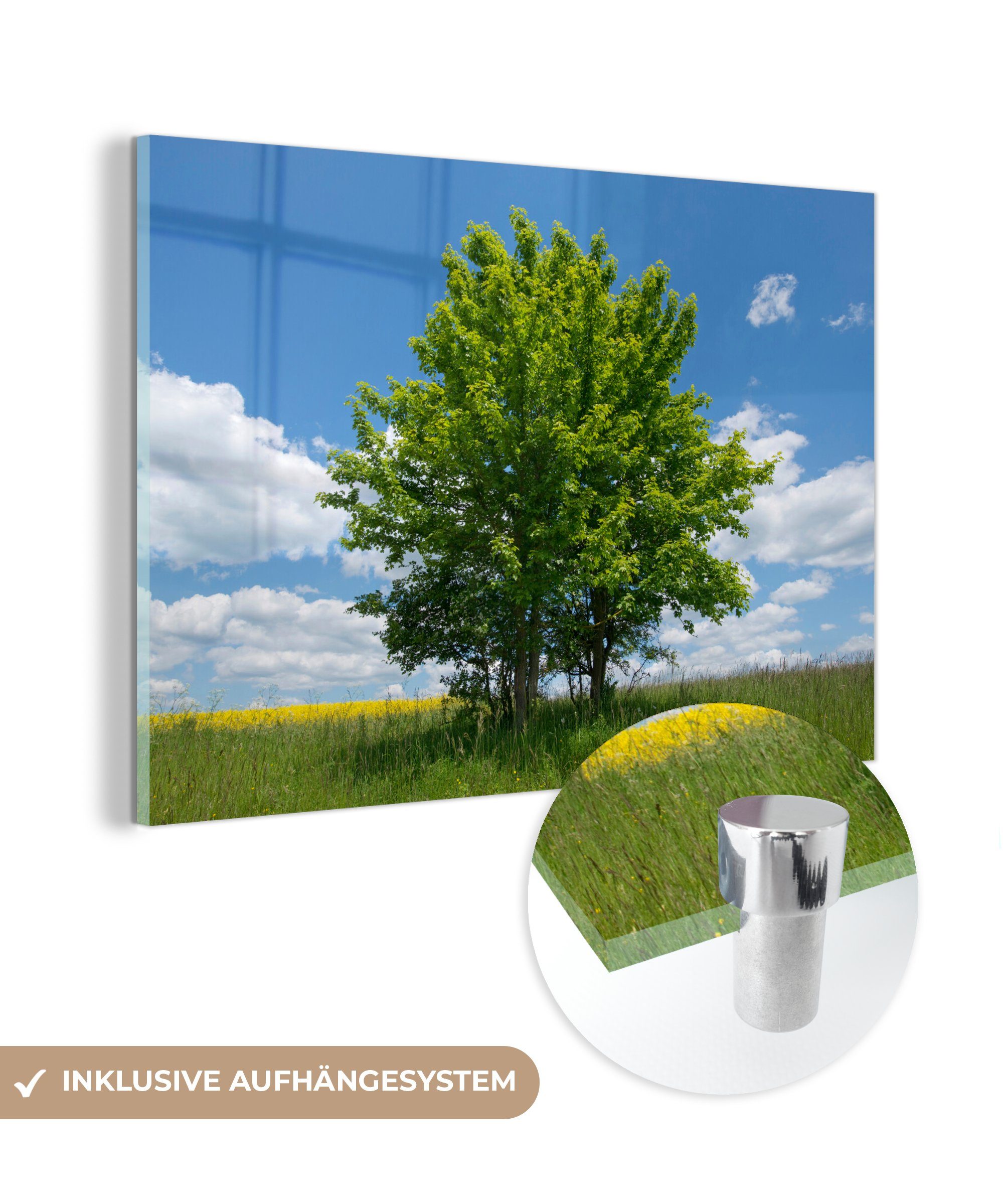 Eine Acrylglasbild St), Barkasse (1 unter blauem Schlafzimmer & MuchoWow Wohnzimmer Himmel, Acrylglasbilder spanische