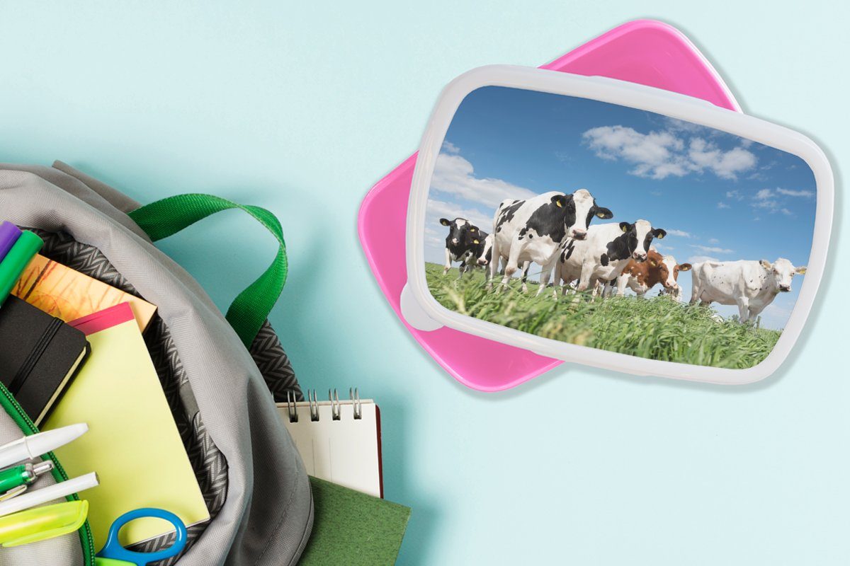 Landleben Kühe (2-tlg), Lunchbox Natur Kinder, - MuchoWow Erwachsene, Brotdose Tiere, Weide rosa Snackbox, Brotbox Kunststoff, für - - Mädchen, - Kunststoff