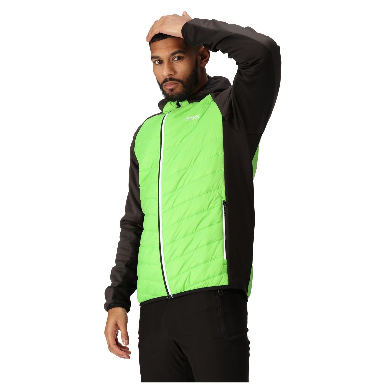 Regatta Steppjacke Softshelljacke Steppjacke Andreson VIII günstig online kaufen