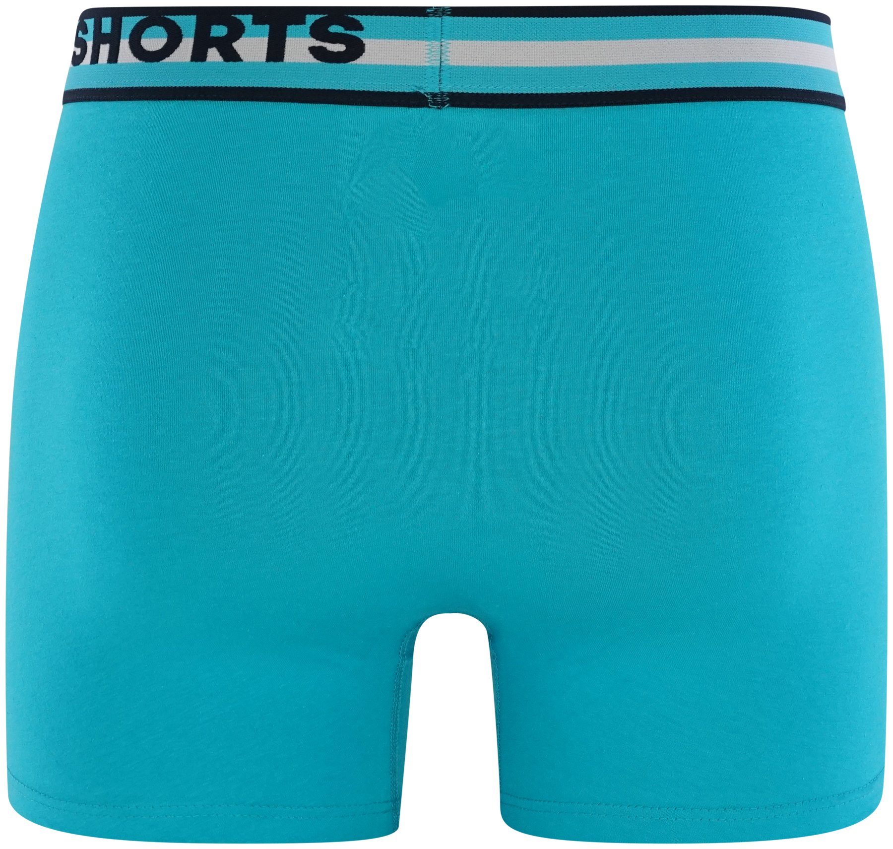 HAPPY Trunks 2-Pack (2-St) SHORTS Licorice Retro Pants