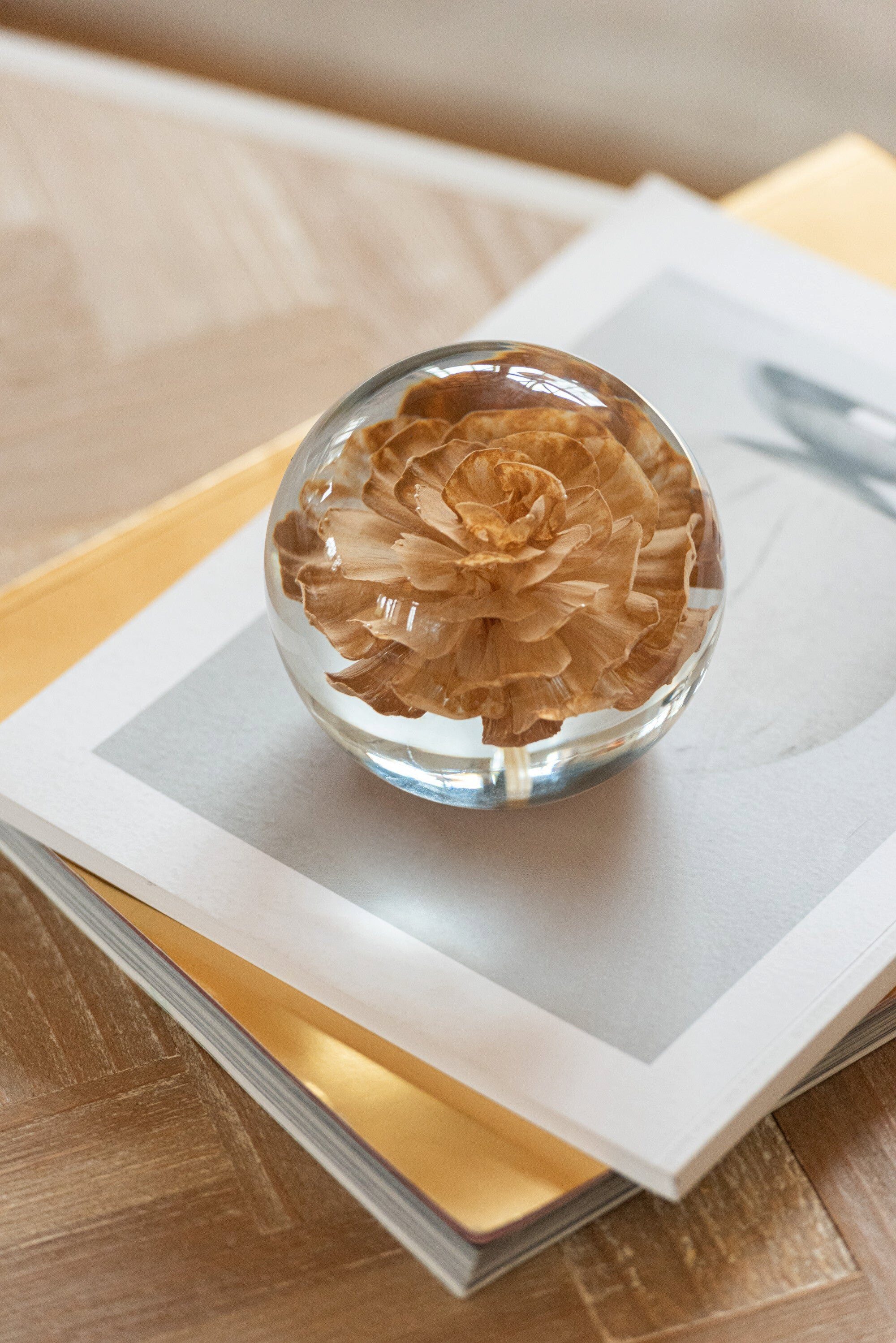 Presse Dekoobjekt – Glas H GILDE Briefbeschwerer Blume Set 2er Braun Papier Dekoratives