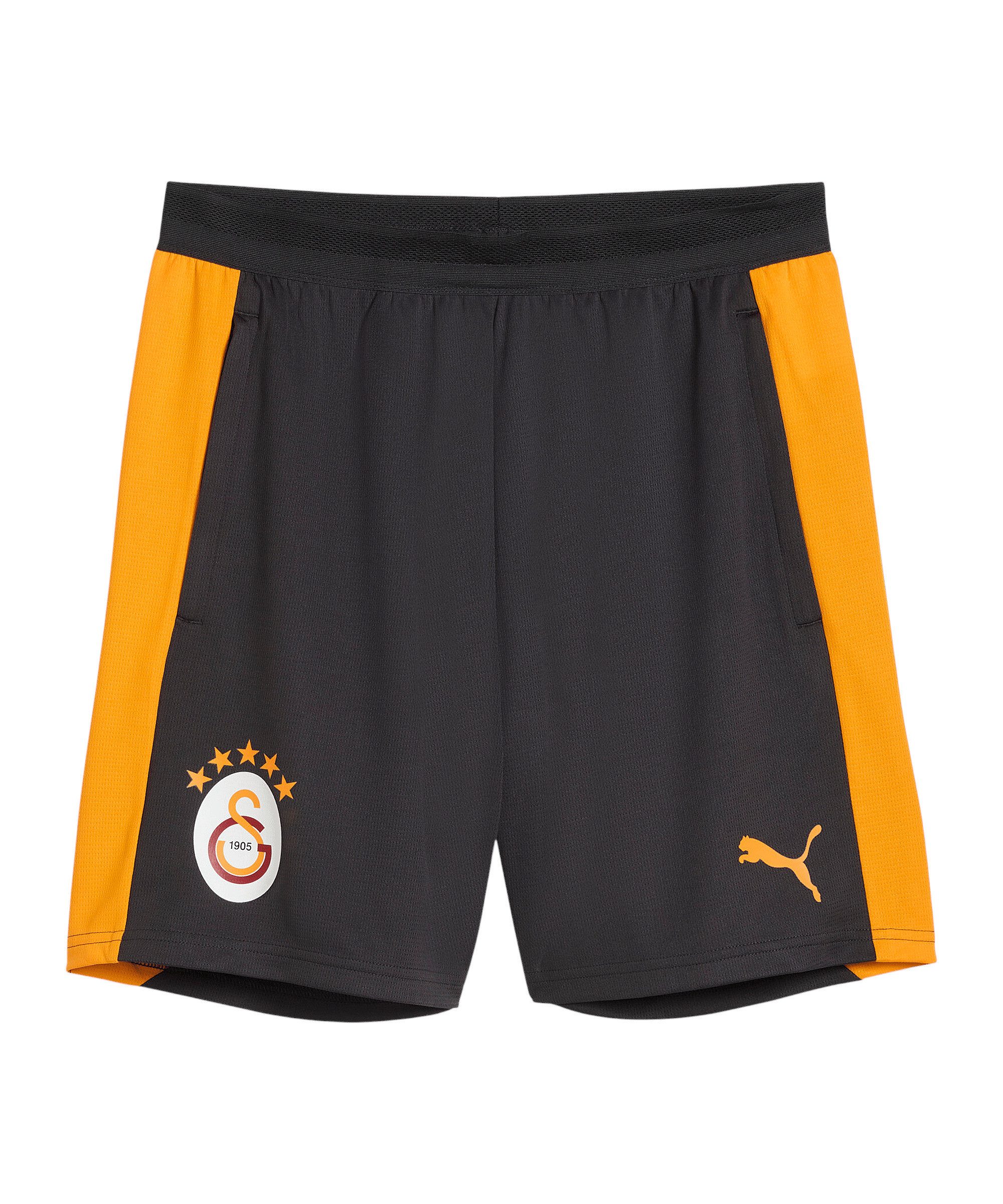 PUMA Sporthose PUMA Galatasaray Istanbul Training Short Shorts