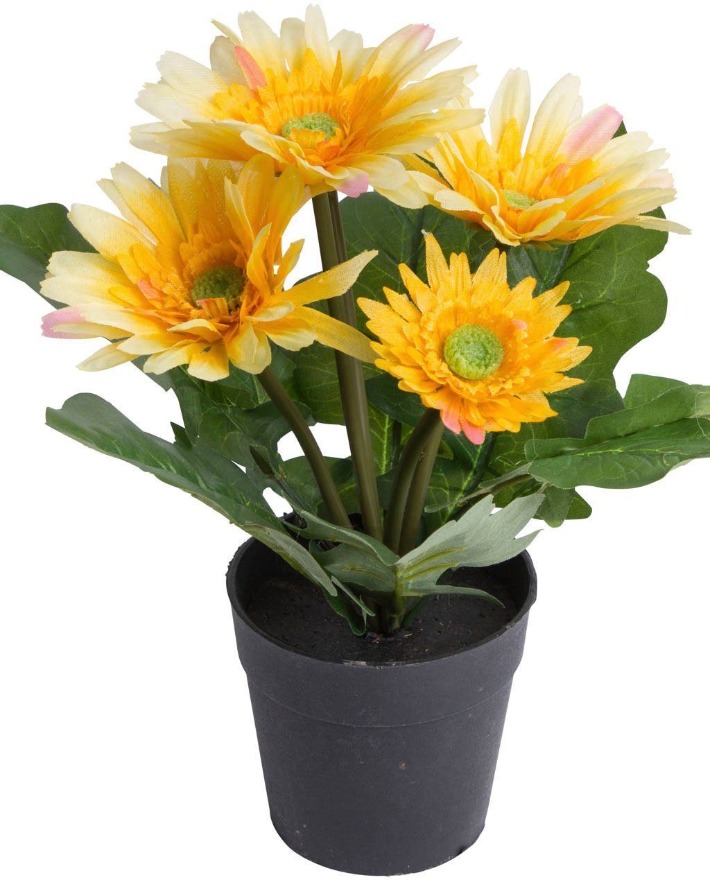 Kunstblume Gerbera mit 5 Blüten, Botanic-Haus, Höhe 26 cm