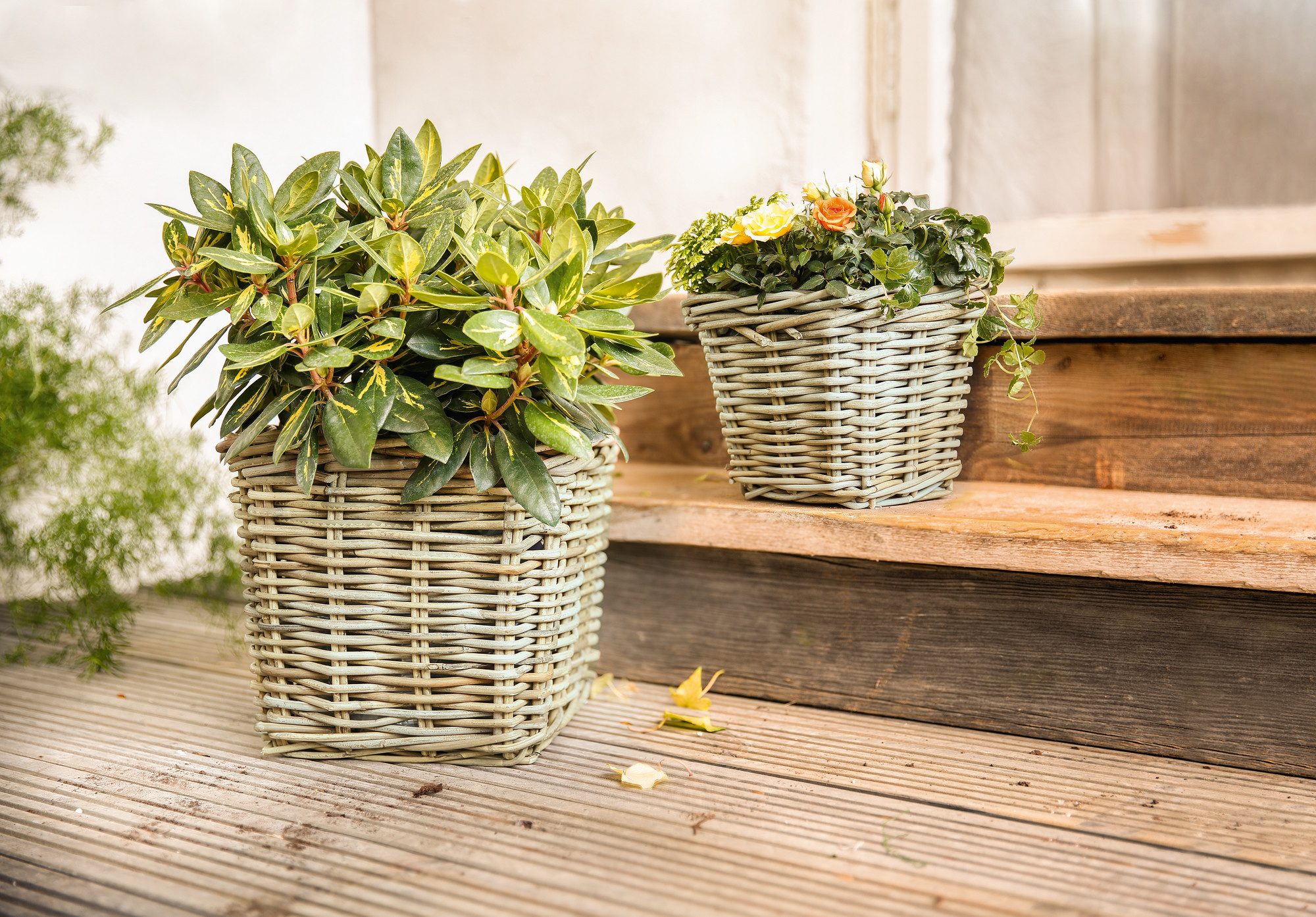 Frank Flechtwaren Blumenbank, Pflanzer Rattan groß günstig online kaufen