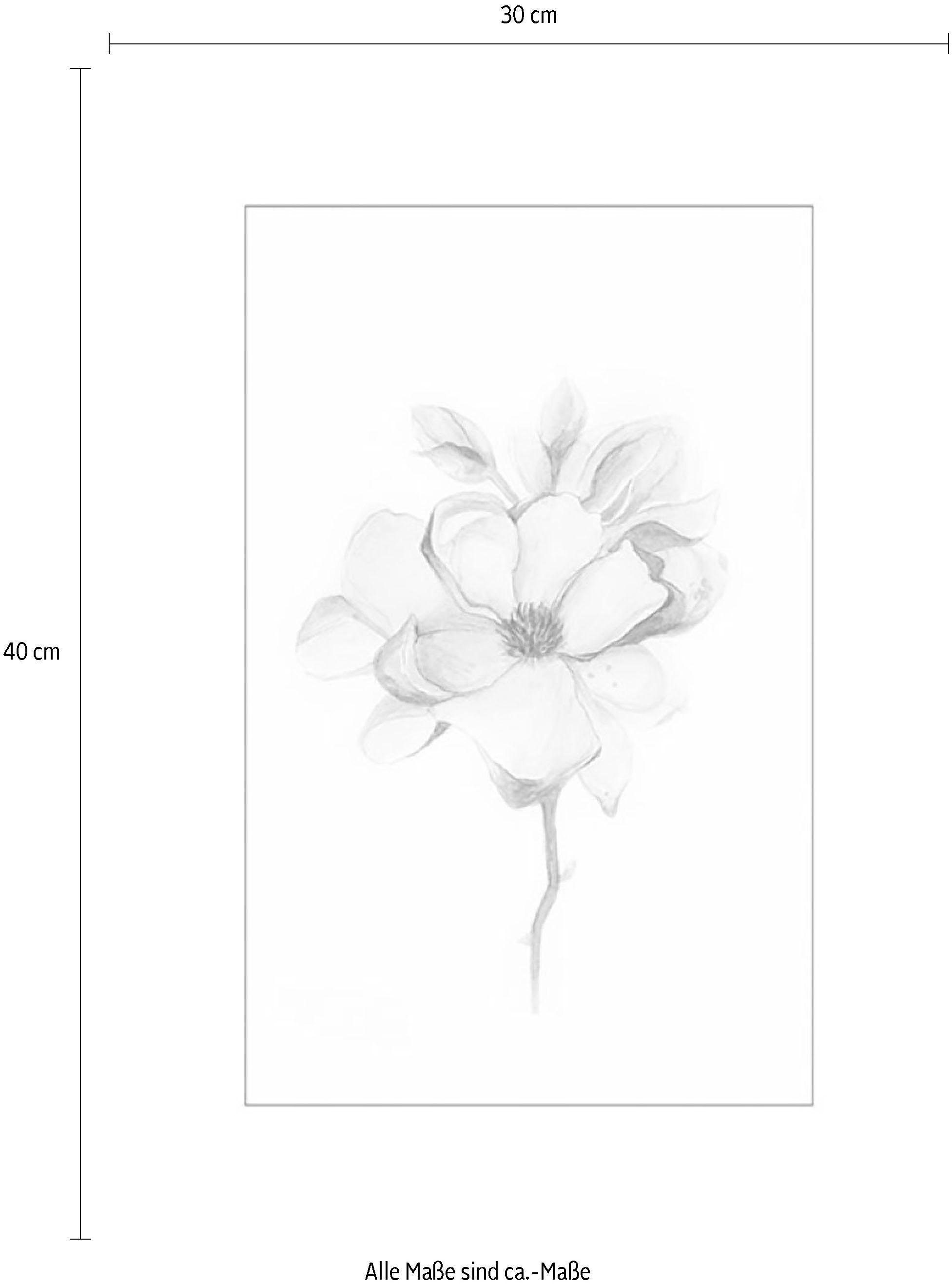 Poster Wohnzimmer St), (1 Blumen Schlafzimmer, Kinderzimmer, Komar Magnolia Blossom,