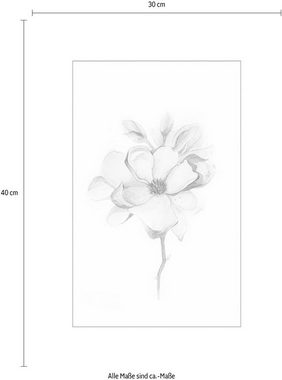 Komar Poster Magnolia Blossom, Blumen (1 St), Kinderzimmer, Schlafzimmer, Wohnzimmer