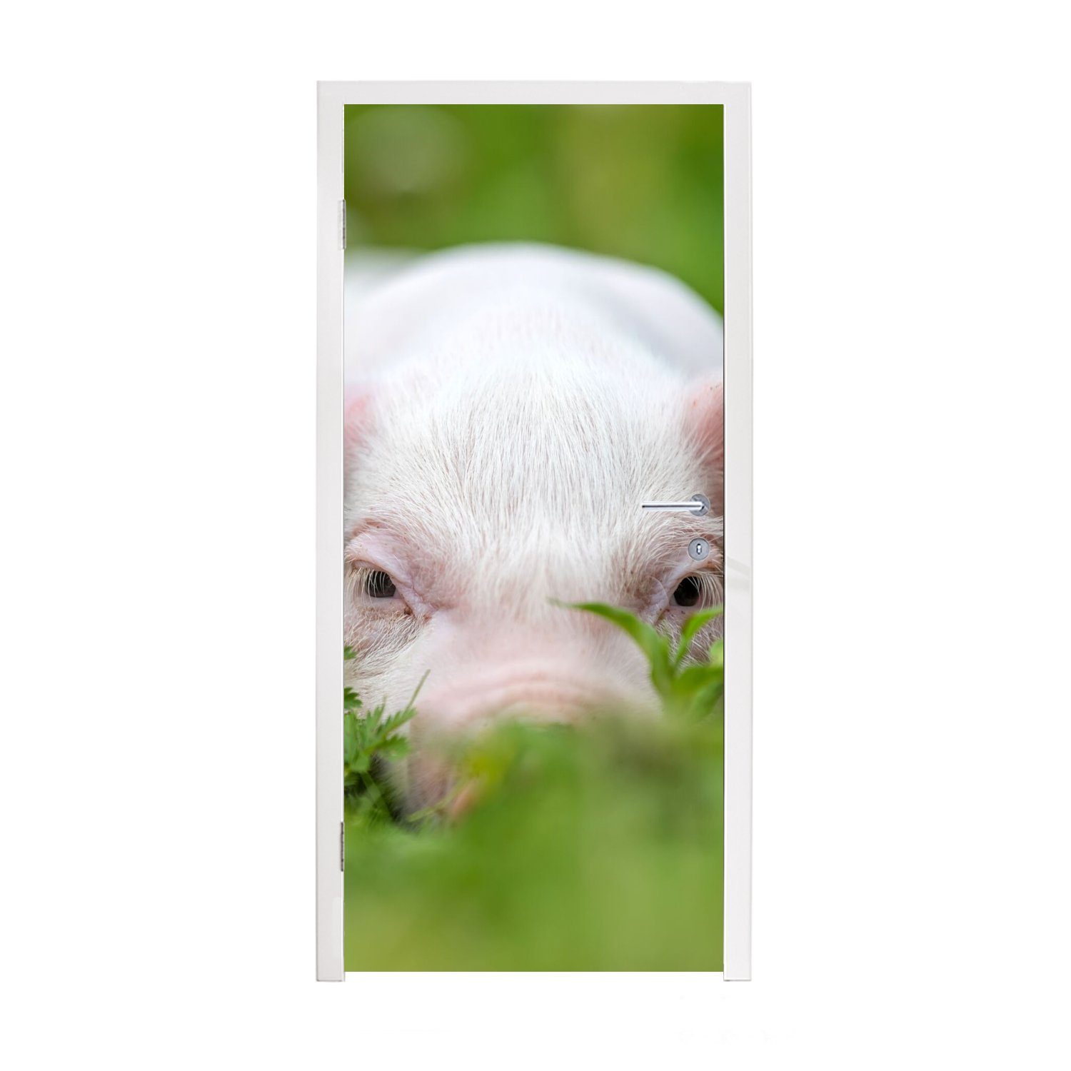 MuchoWow Türtapete Schwein - Tiere - Groß, Matt, bedruckt, (1 St), Fototapete für Tür, Türaufkleber, 75x205 cm