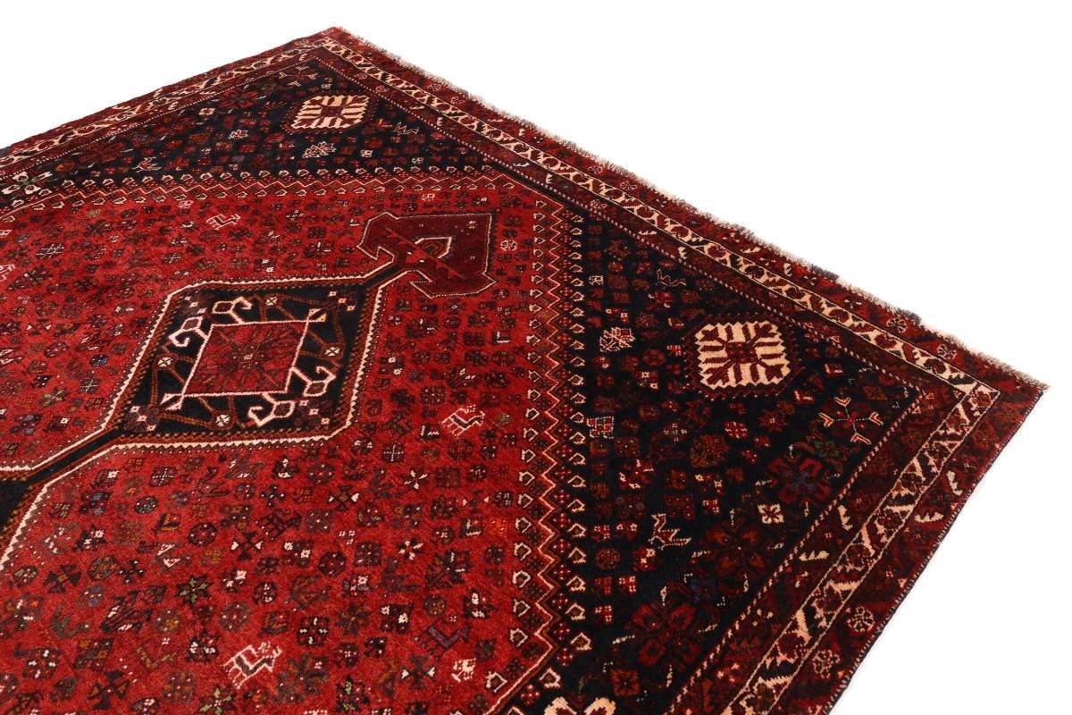 Orientteppich Ghashghai Nain Orientteppich Handgeknüpfter mm Perserteppich, / Trading, rechteckig, 12 Höhe: 223x326