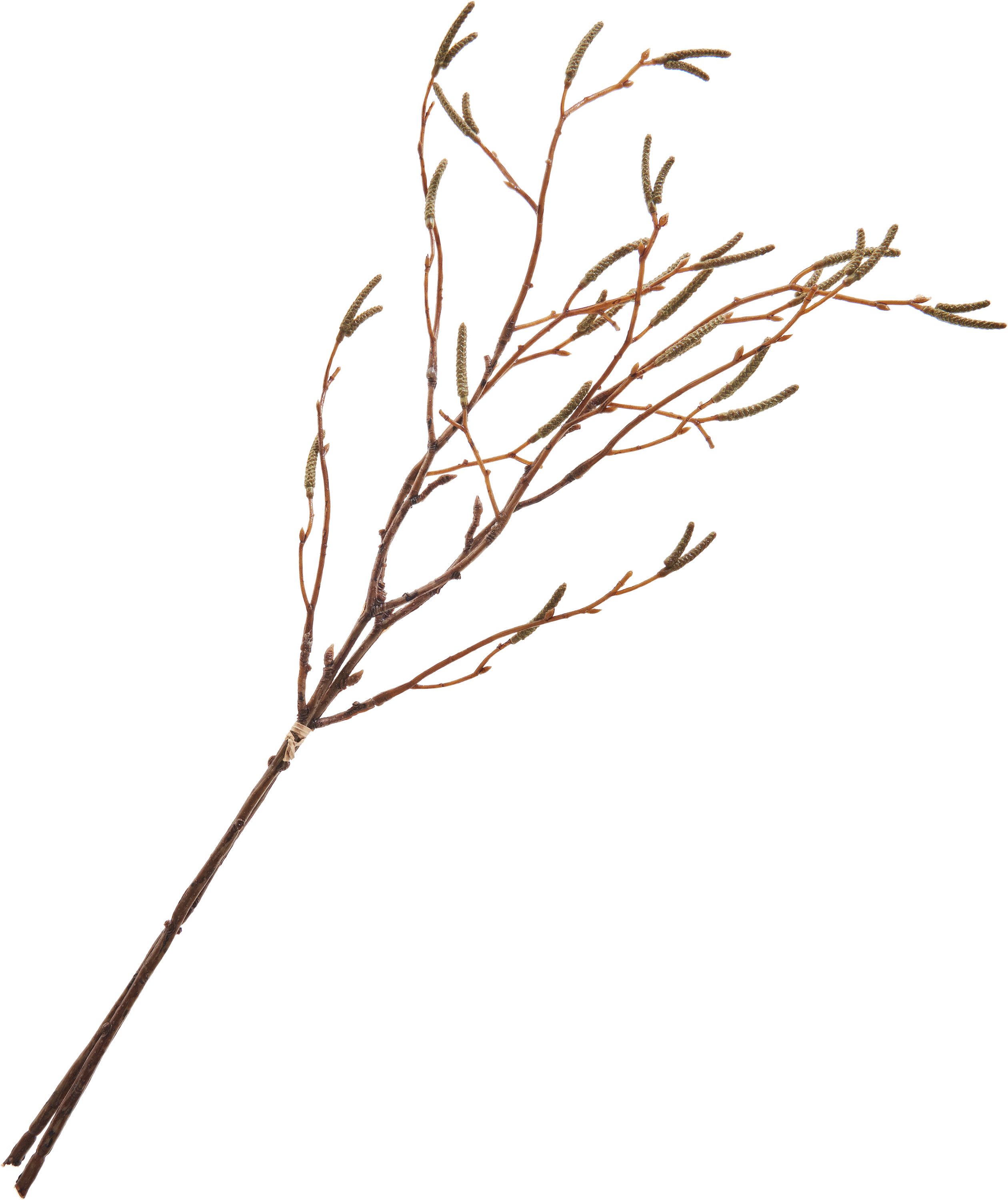 Kunstzweig Birkenzweig-Bund, DPI, 57cm