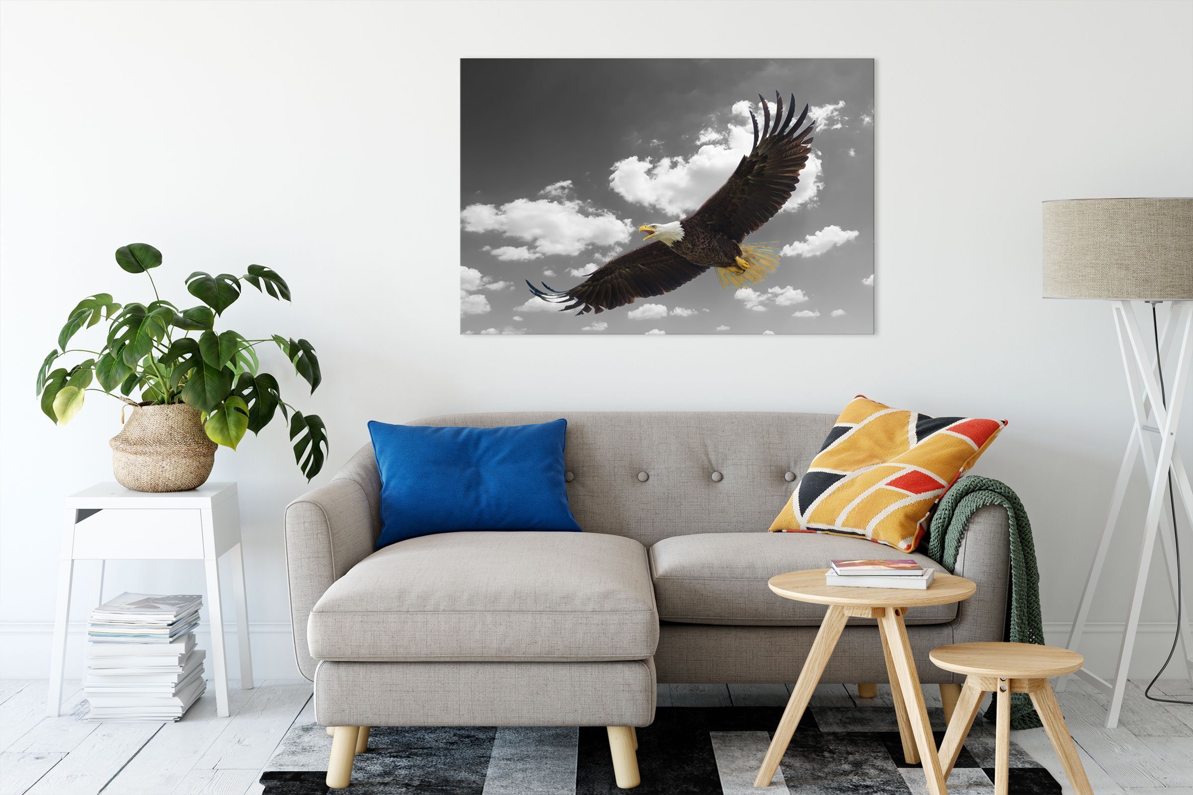 Zackenaufhänger fliegen, (1 Leinwandbild Weißkopfseeadler Pixxprint bespannt, beim Leinwandbild beim fliegen St), Weißkopfseeadler fertig inkl.