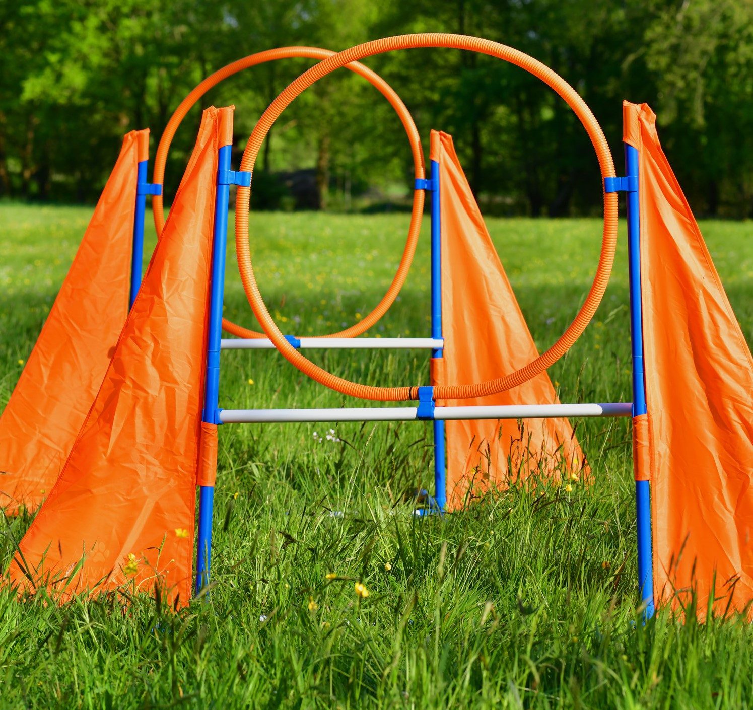 PfotenWunder Agility-Hürde 2x Agility-Hürde Hund XXL-Profi-Set Hunde Groß Training
