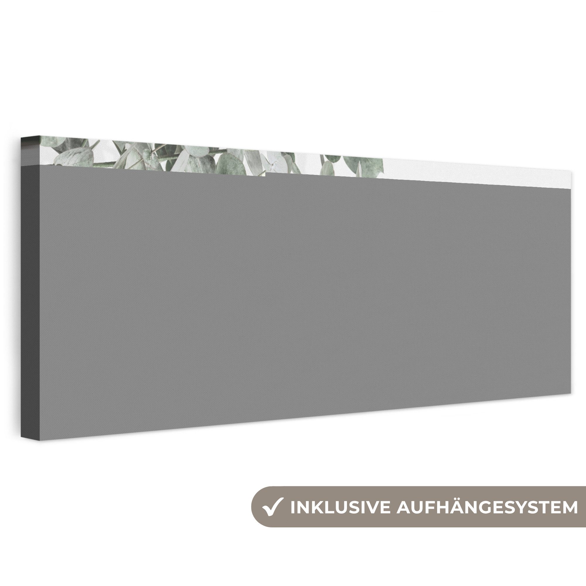 OneMillionCanvasses® Leinwandbild Panorama Eukalyptus - Blätter - Natur - Grün, Fotodruck (1 St), Wandbild, Deko Schlafzimmer Wohnzimmer Flur 60x20 cm