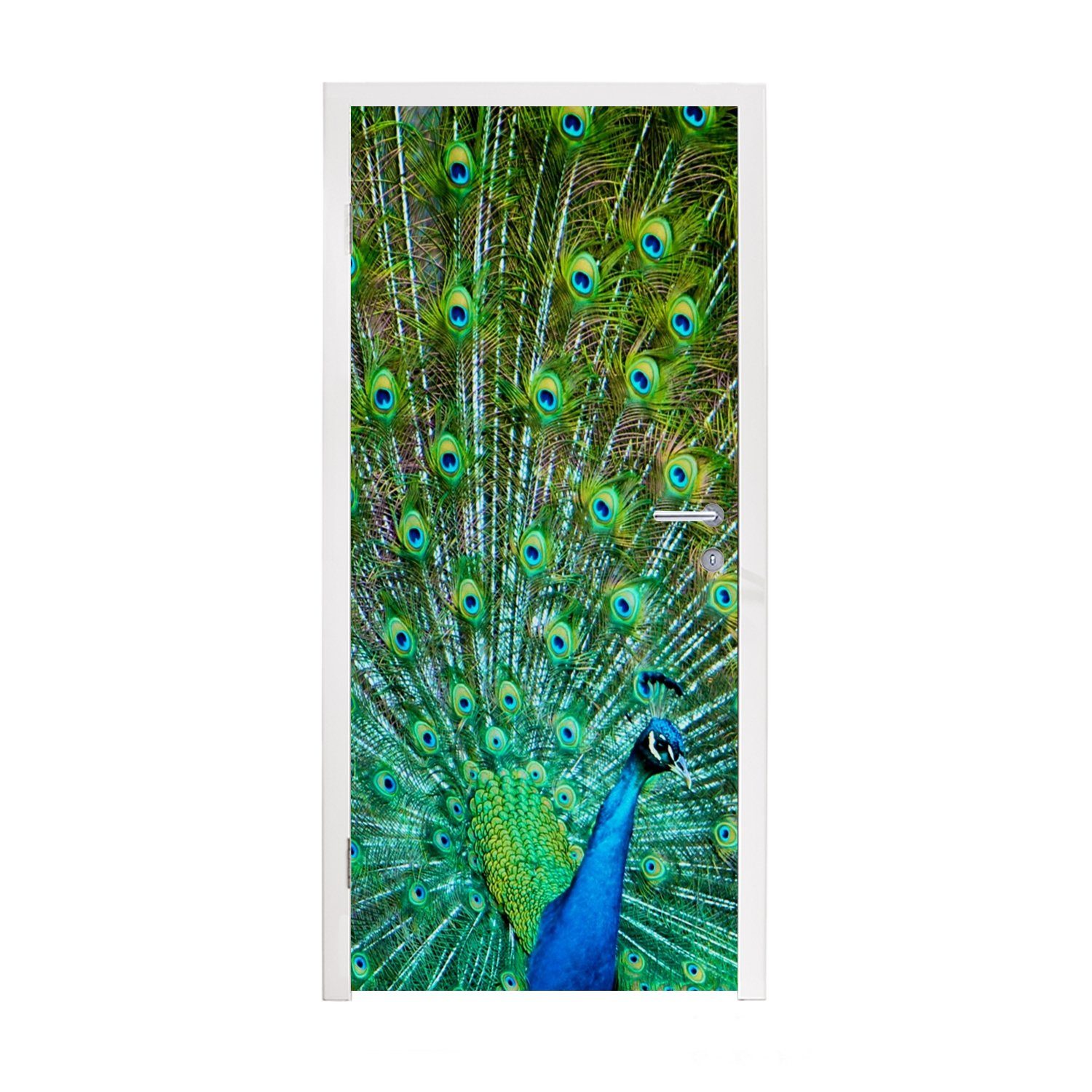 Tür, MuchoWow Gefieder, Matt, Pfau blau-grünem 75x205 für Fototapete Türaufkleber, Türtapete bedruckt, (1 cm mit St),