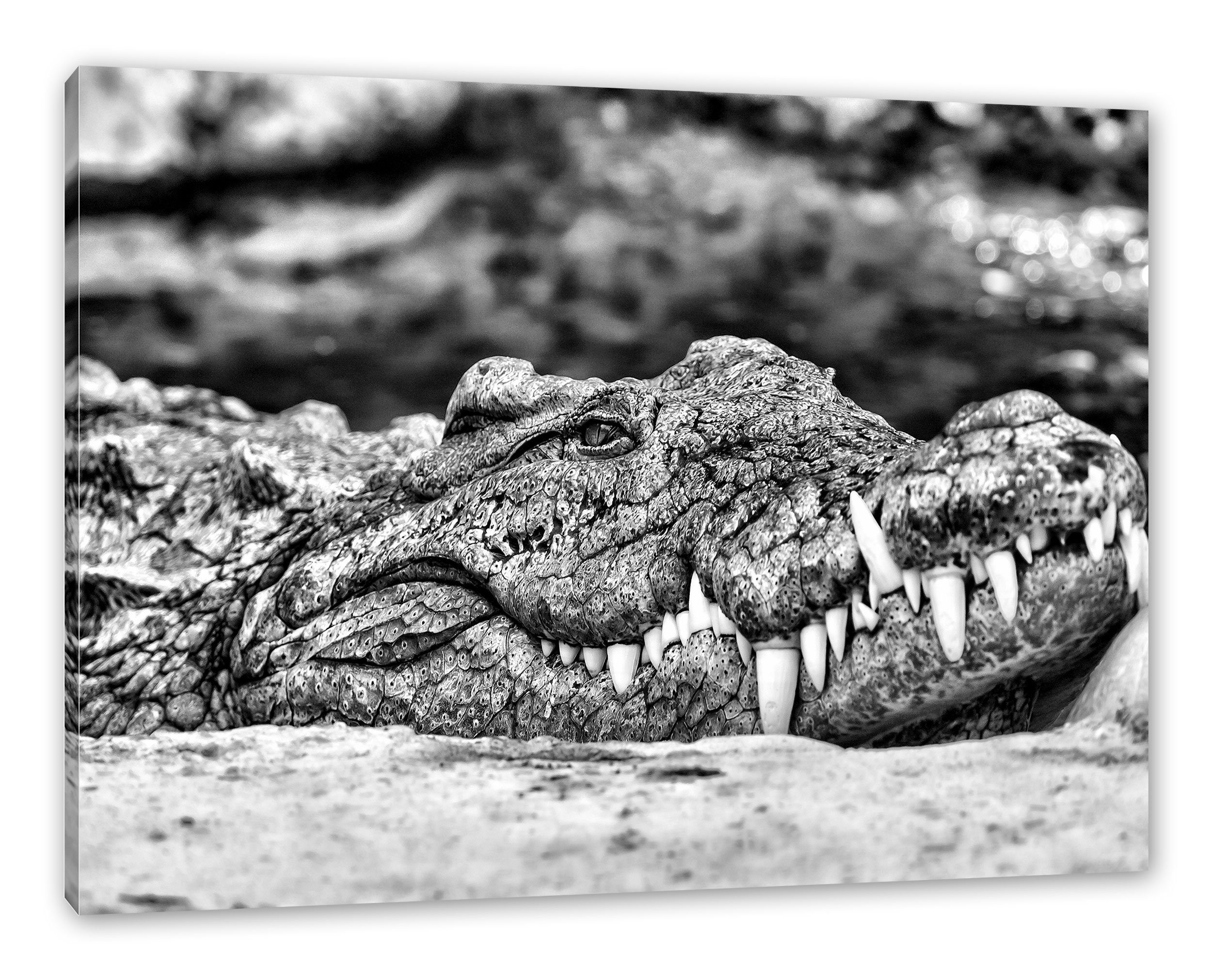 Pixxprint Leinwandbild gigantisches Krokodil, gigantisches Krokodil (1 St), Leinwandbild fertig bespannt, inkl. Zackenaufhänger