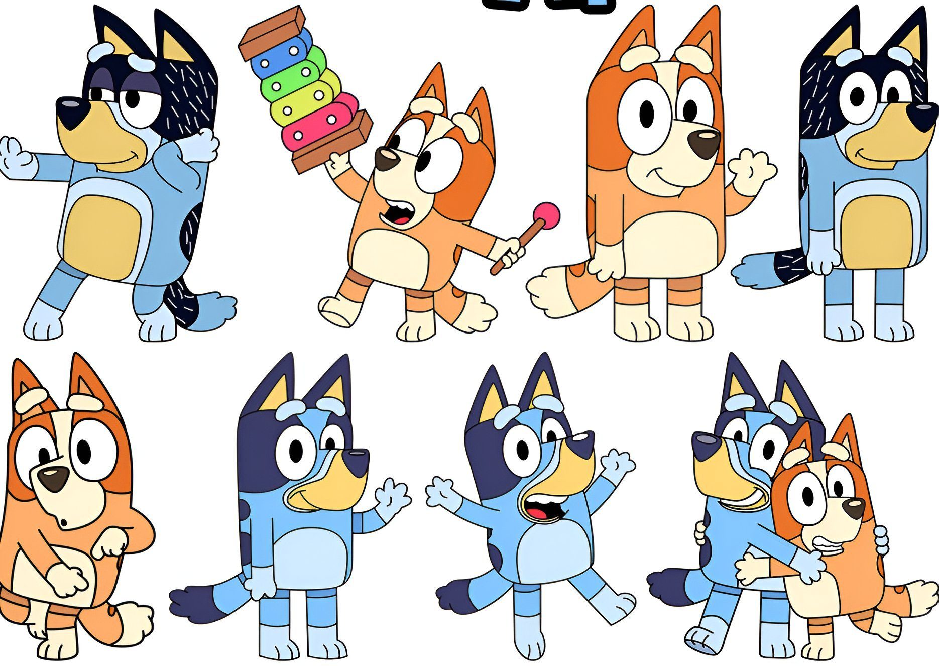 Kindertattoo BLUEY Kindertattoos Abwaschbar Party Geburtstag Wasserfest Tattoo