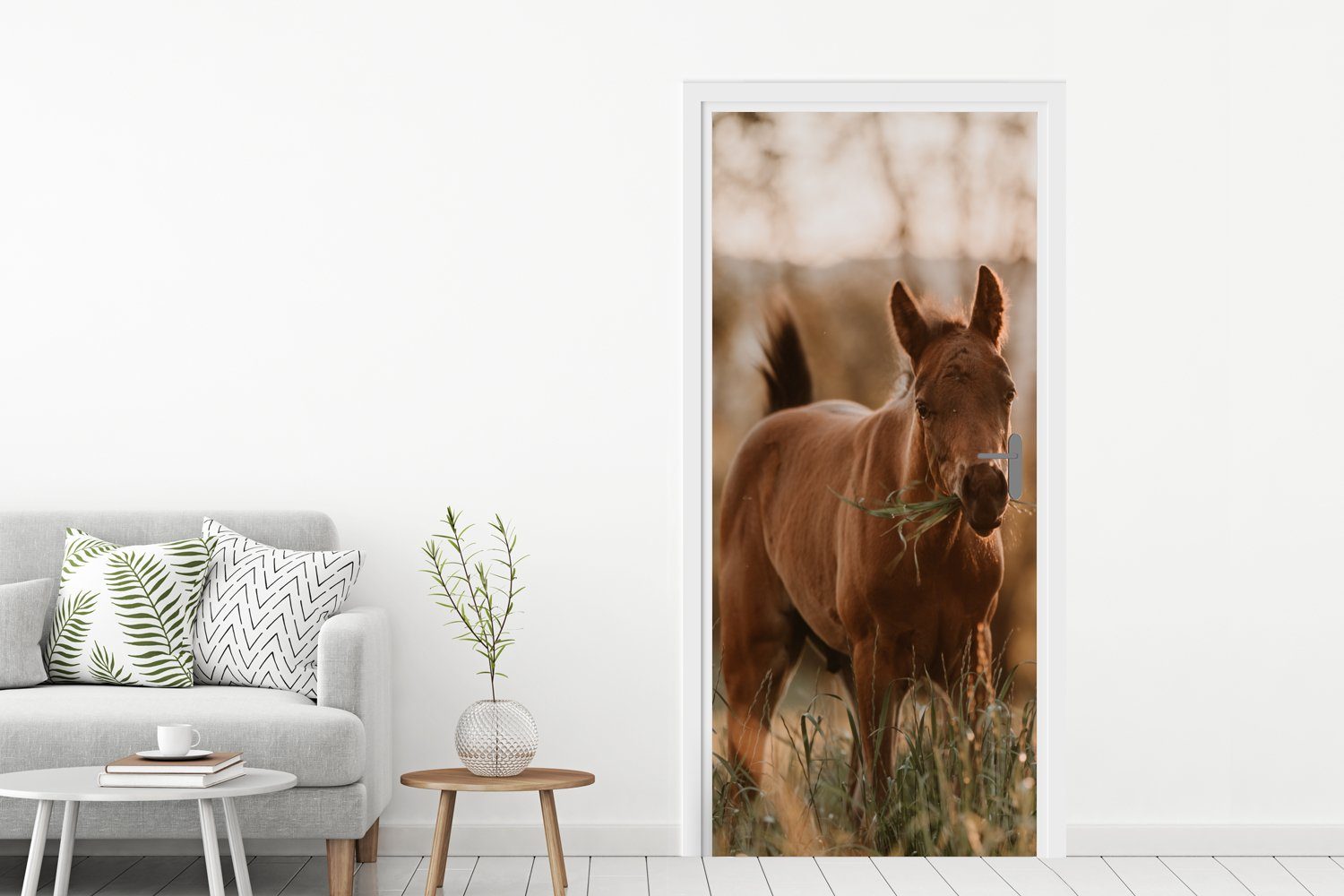MuchoWow Türtapete Pferd - Sonne Fototapete Matt, für cm Tür, 75x205 - St), (1 Türaufkleber, bedruckt, Gras