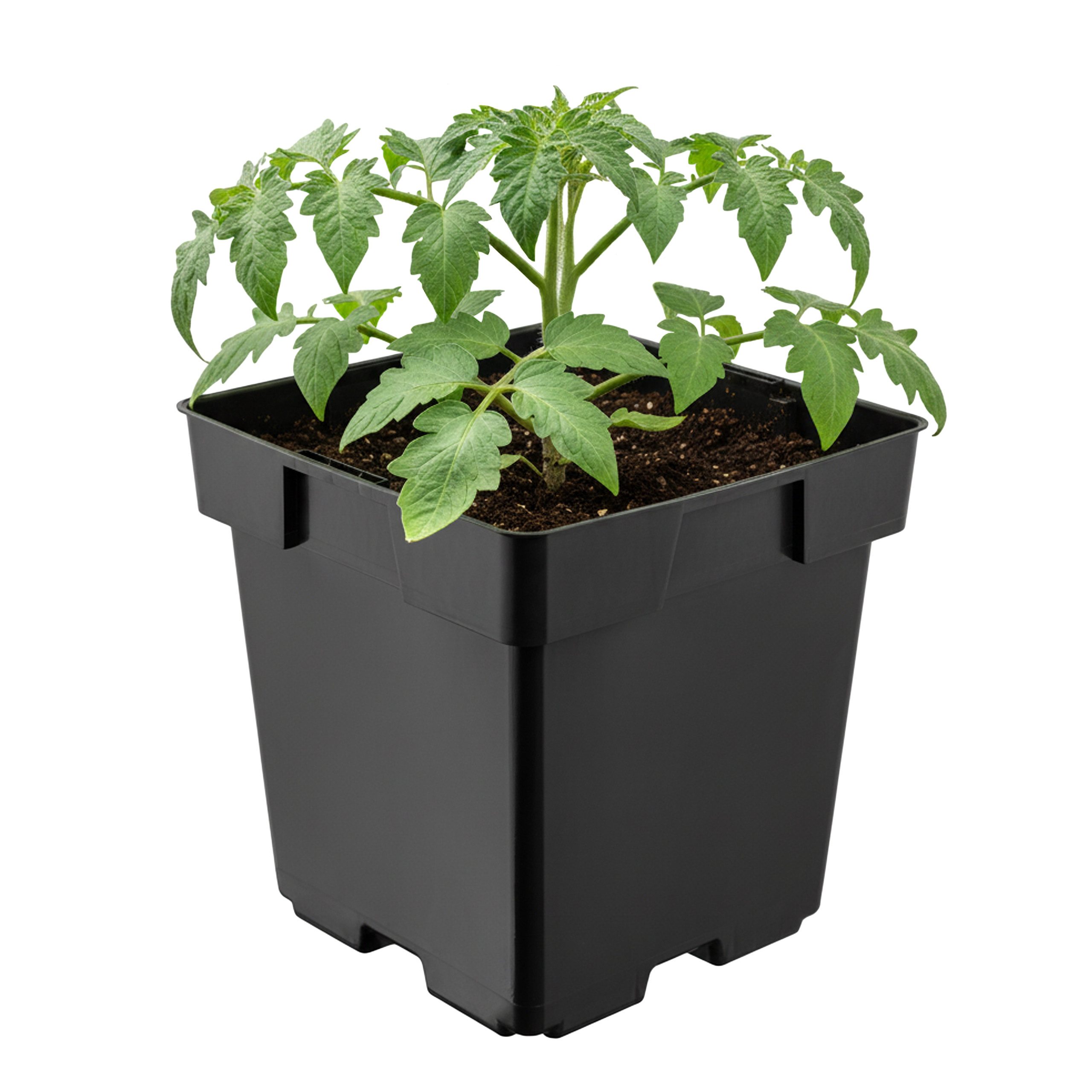 Garronda Blumentopf Kunststoff eckig mit Drainagelöchern Blumentopf für Garten GD-0199 (1 St)