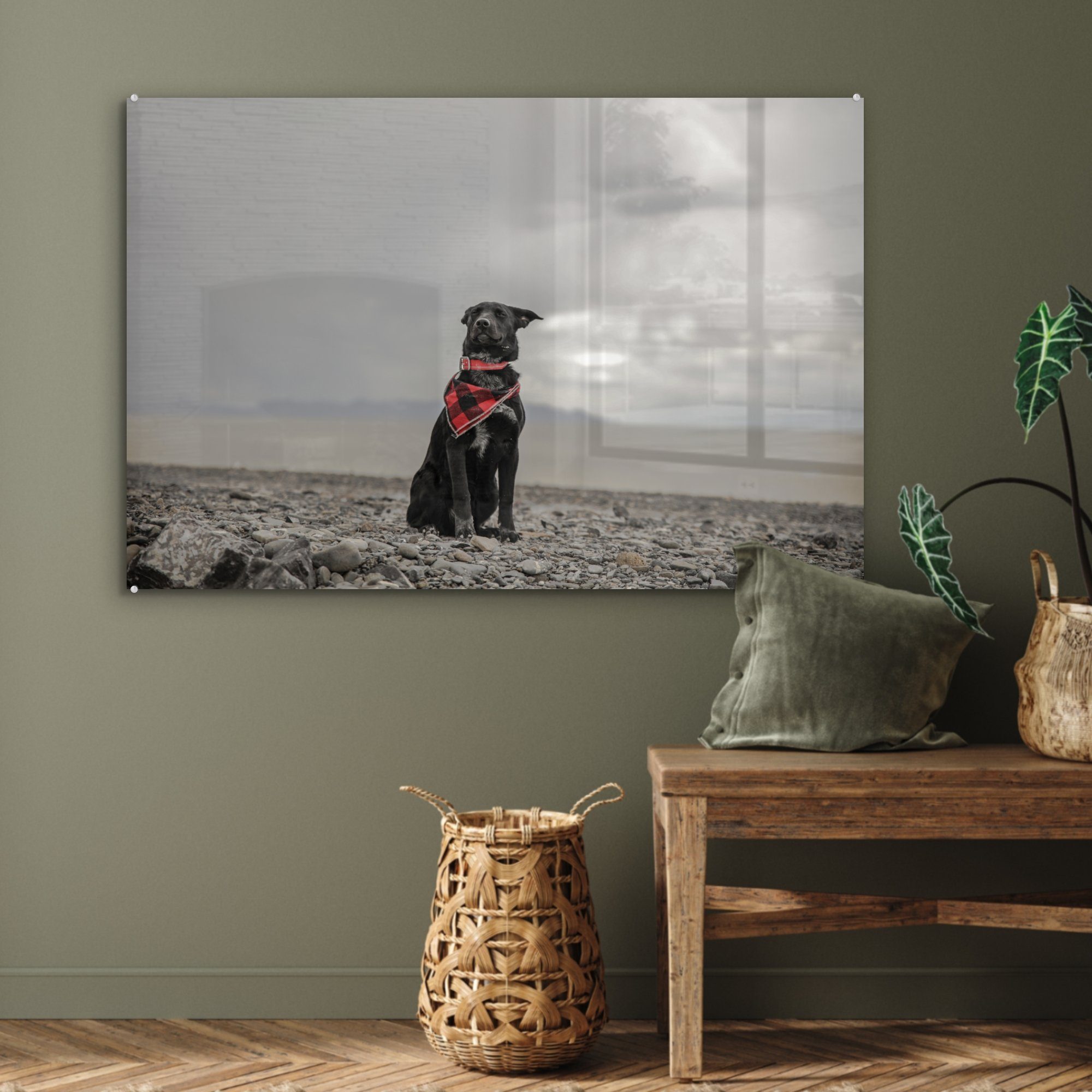 Acrylglasbilder (1 St), Acrylglasbild MuchoWow Strand Wolke, - Schlafzimmer - Hund & Wohnzimmer